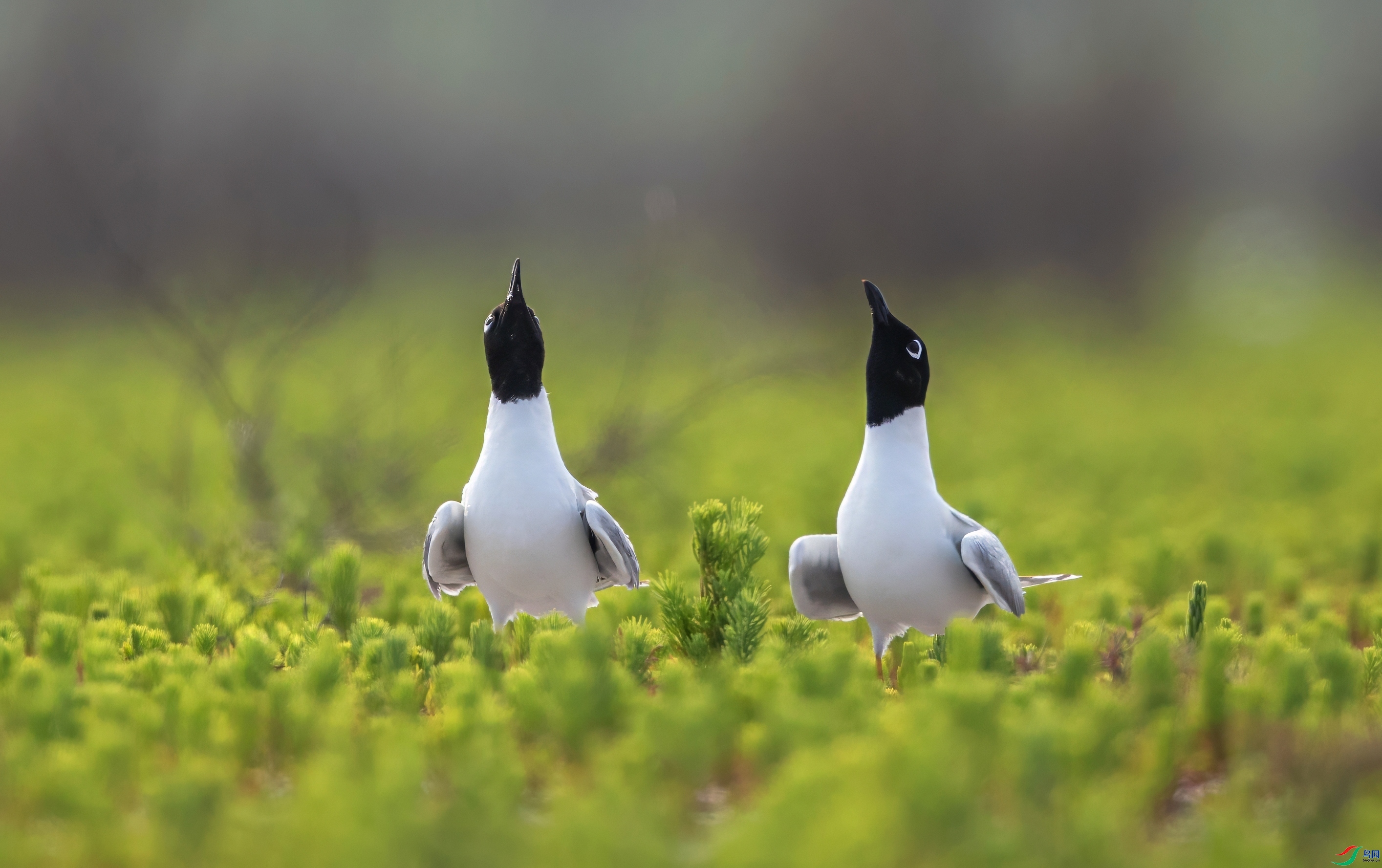 ����Ÿ  ���� �ܷ� ����.jpeg