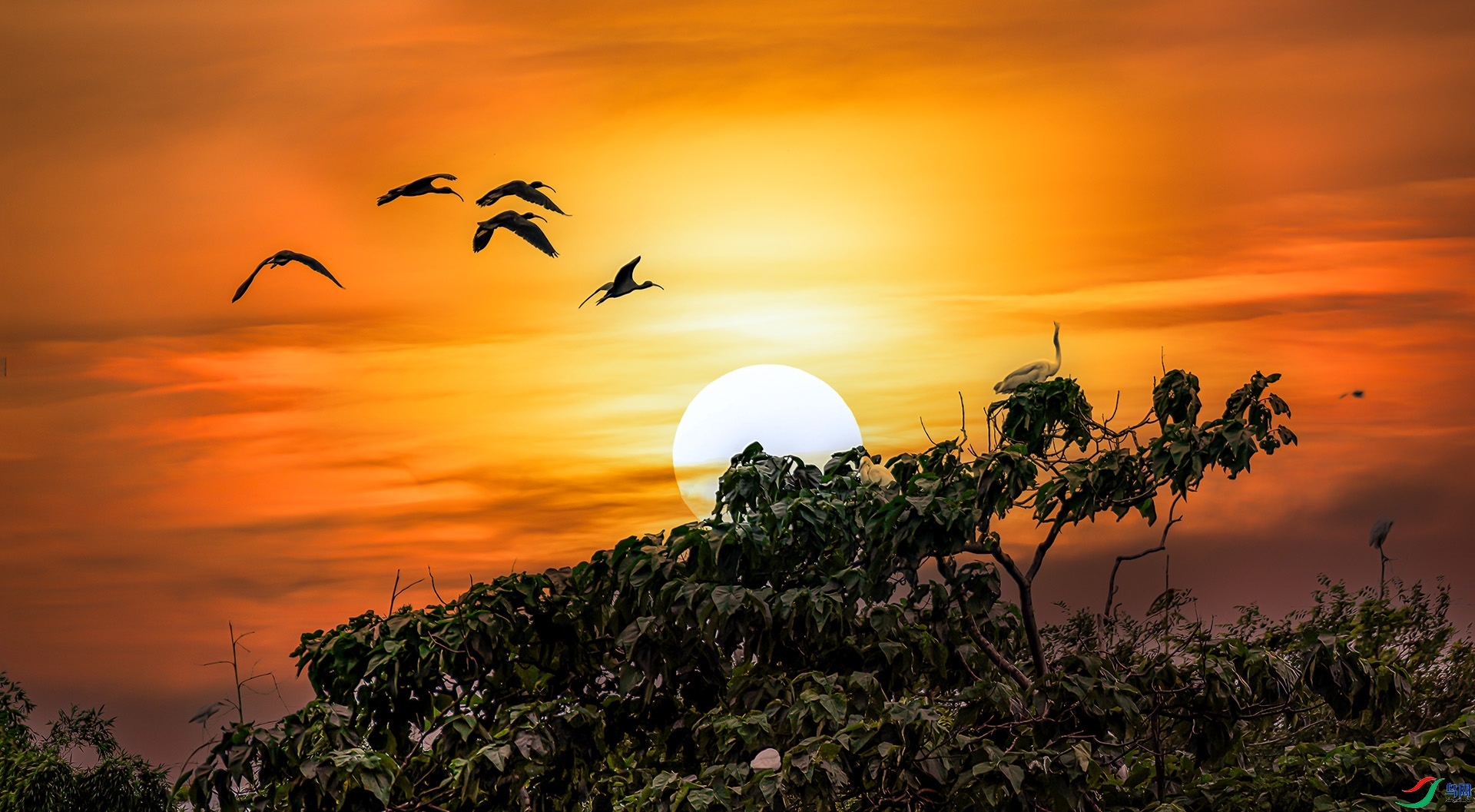 ���q  ���� Ҷ�� ����.jpg