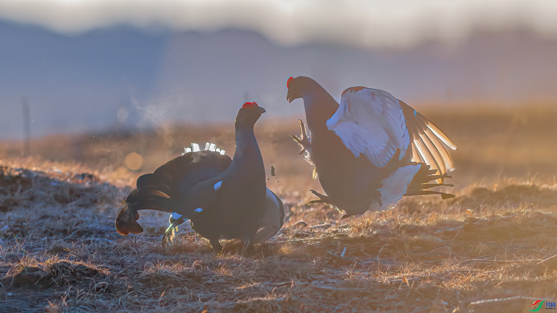 ����  ���� ���� ����.jpg