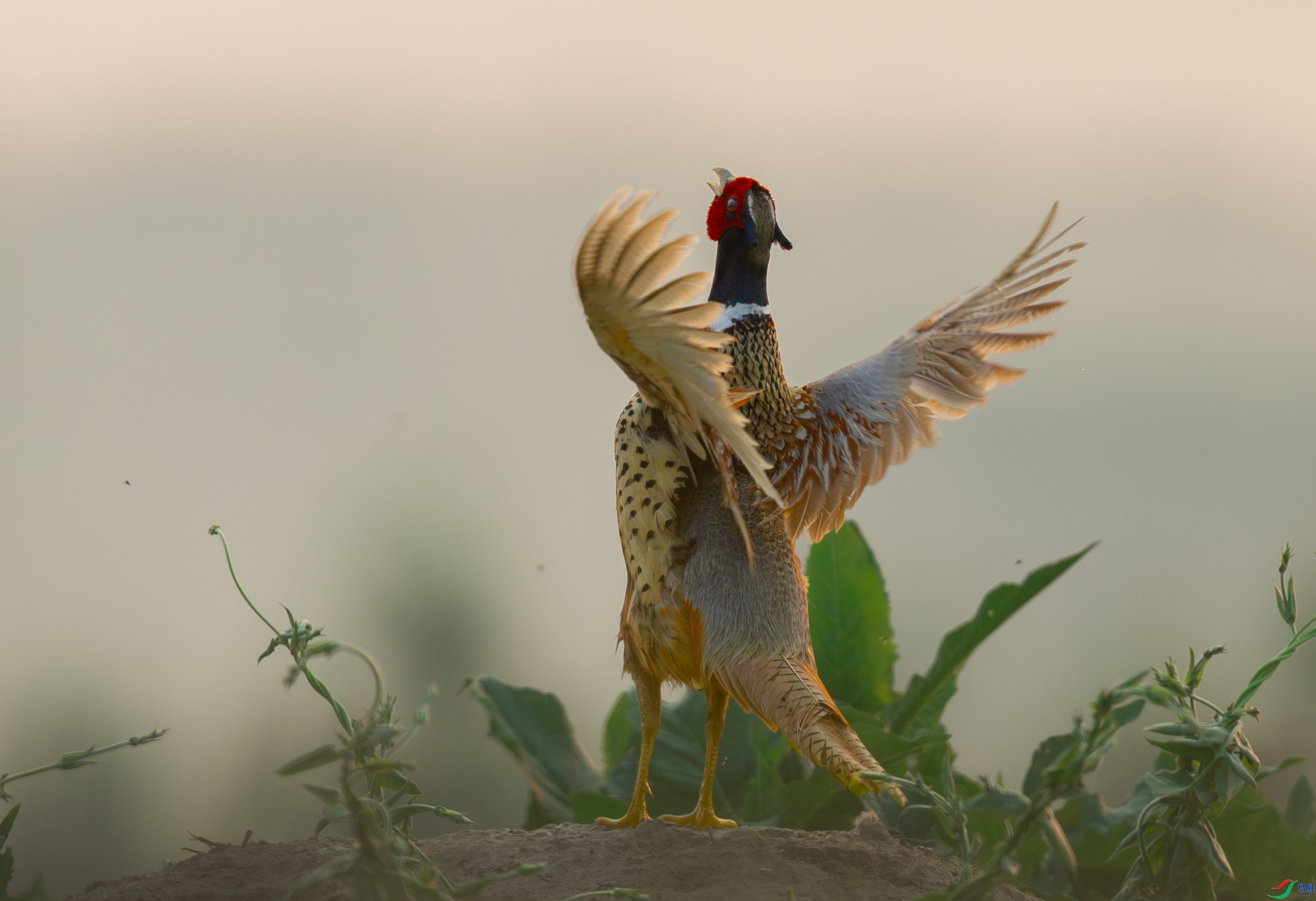 ӭ���µ�һ��  ���� һ·���� ����.jpg