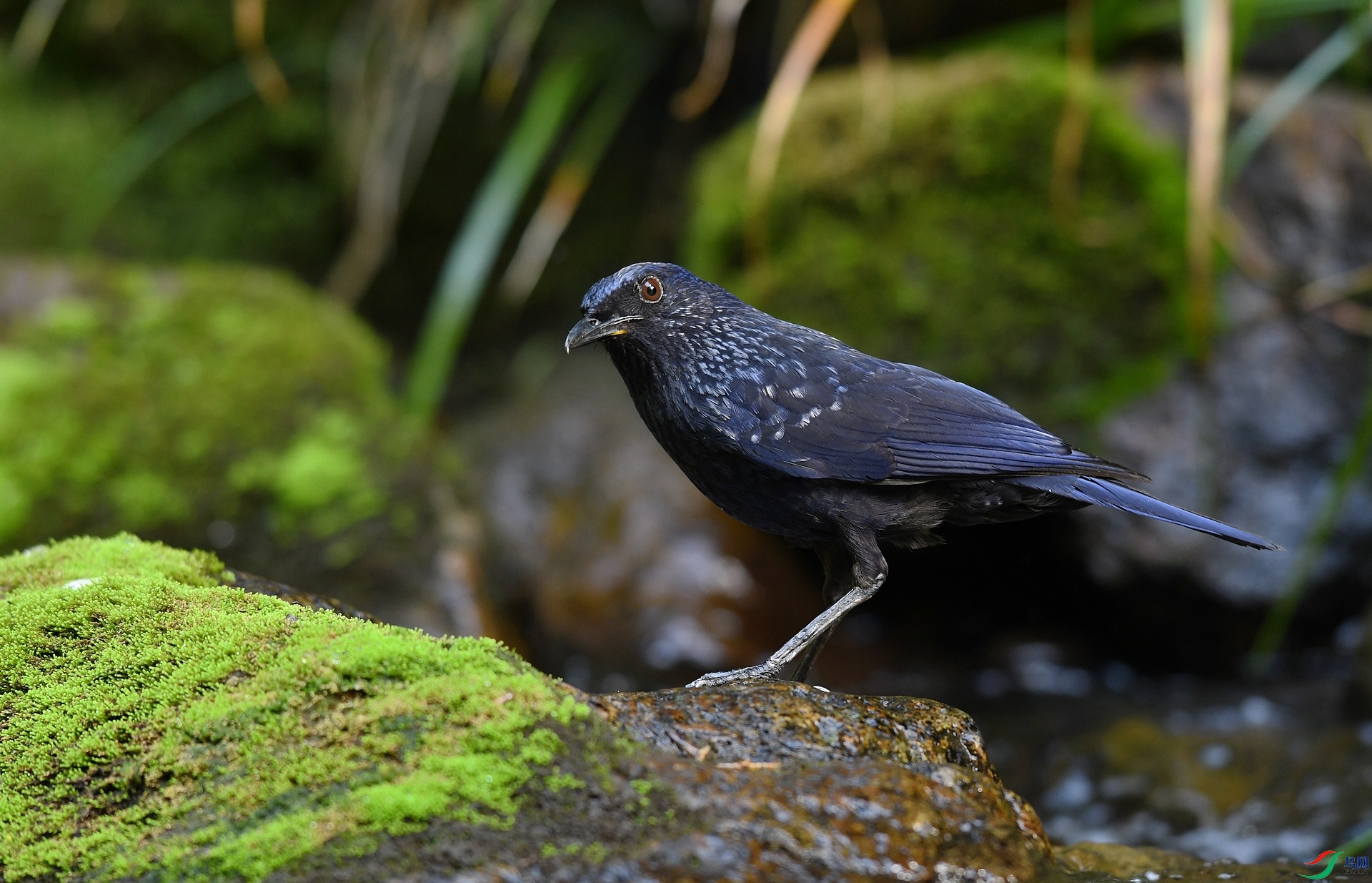 DSC_5140.jpg