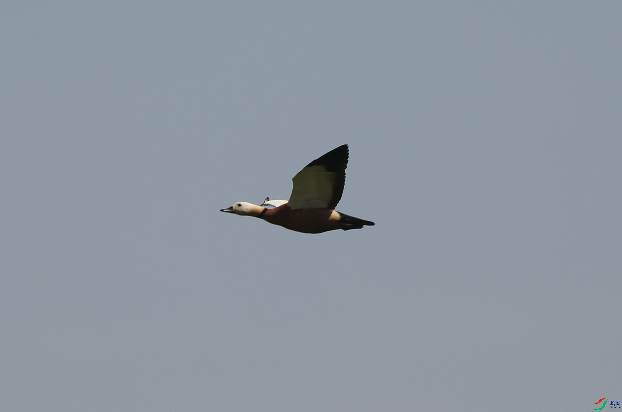 BL7A7835.JPG