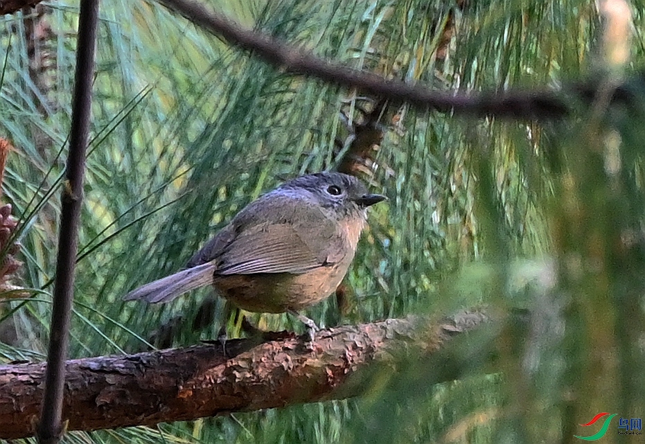 DSC_6058.JPG