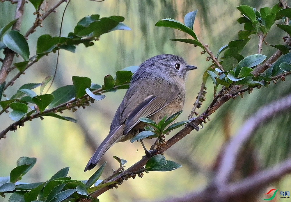 DSC_6090.JPG