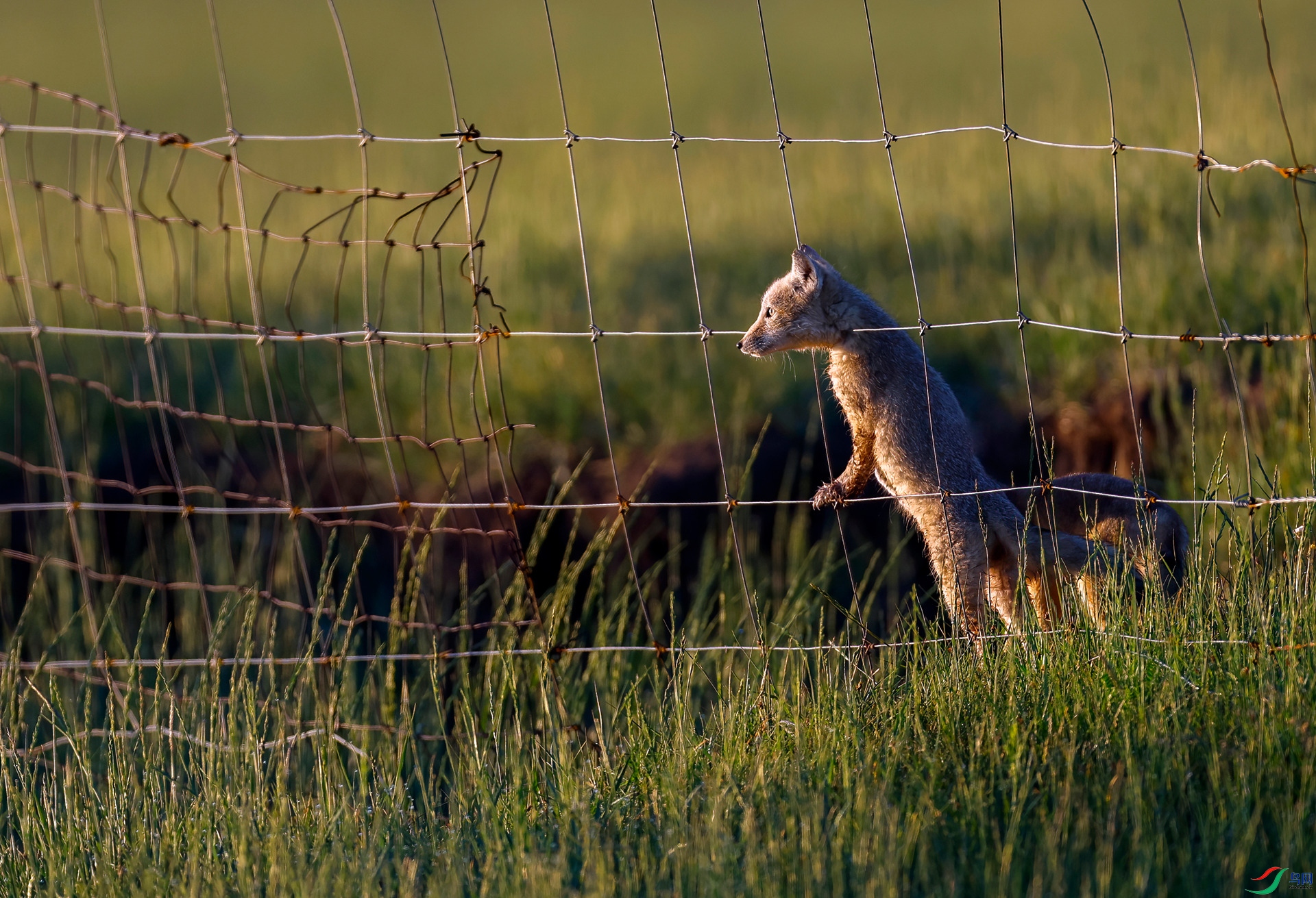 _05A1954 ����_����.jpg