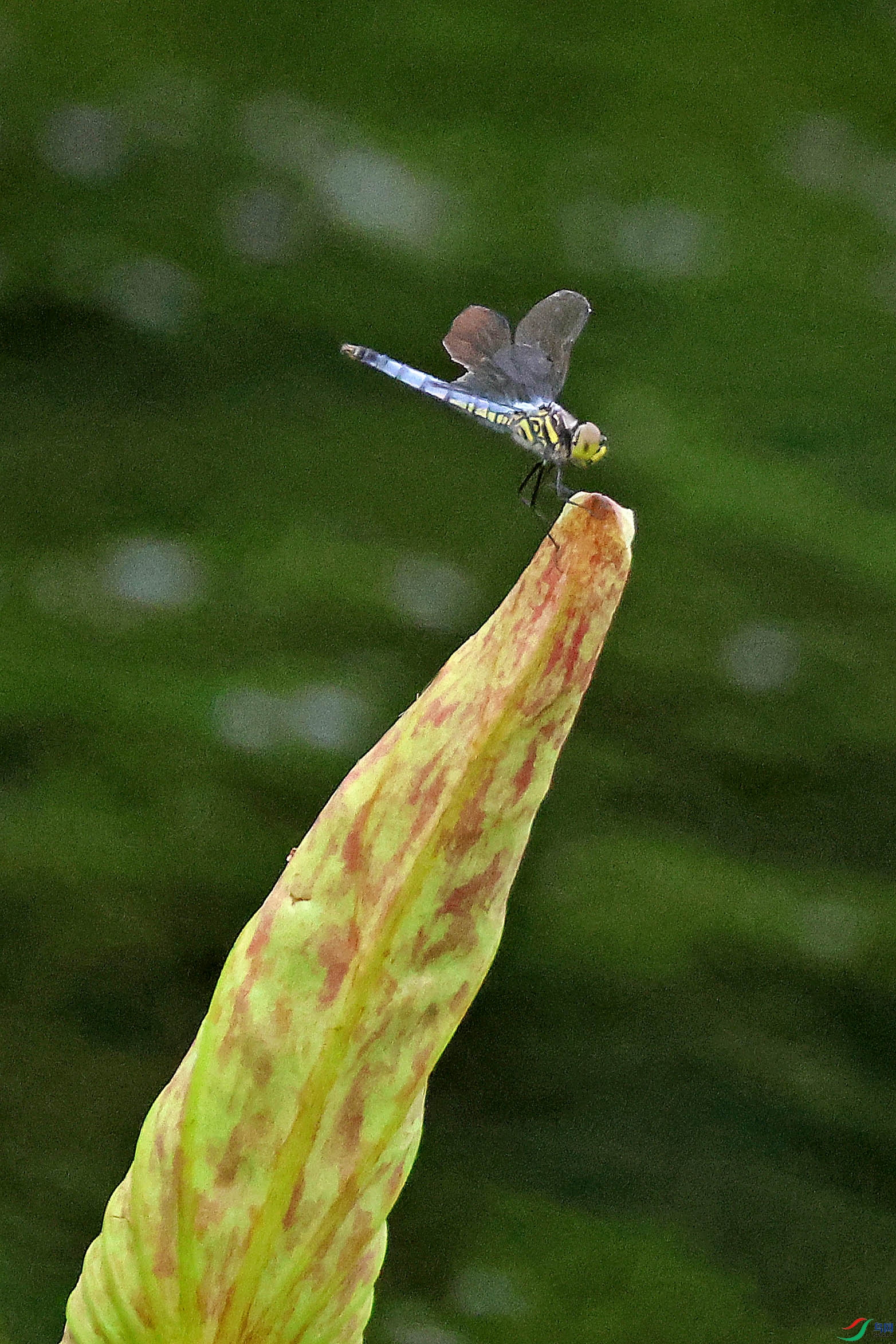 2G9A4722.JPG