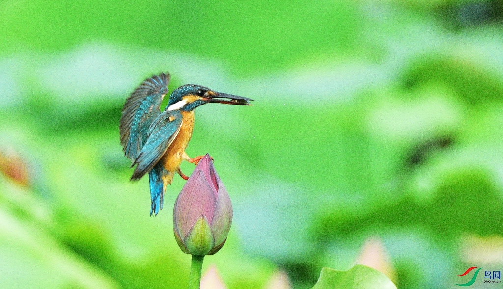 DSC_3023.JPG