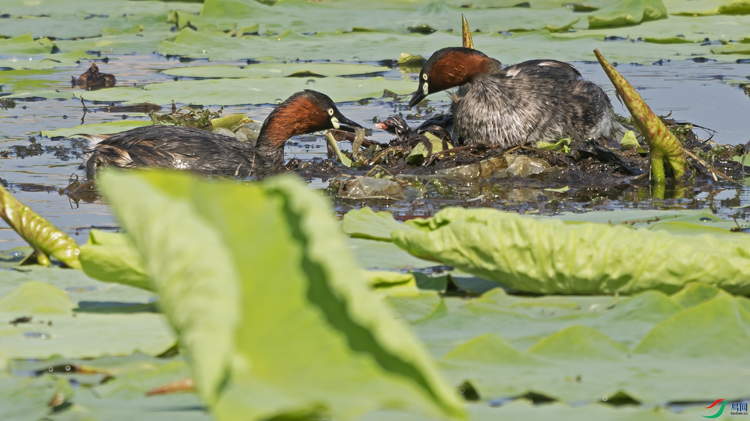 3U2A4027 ���� 2.jpg