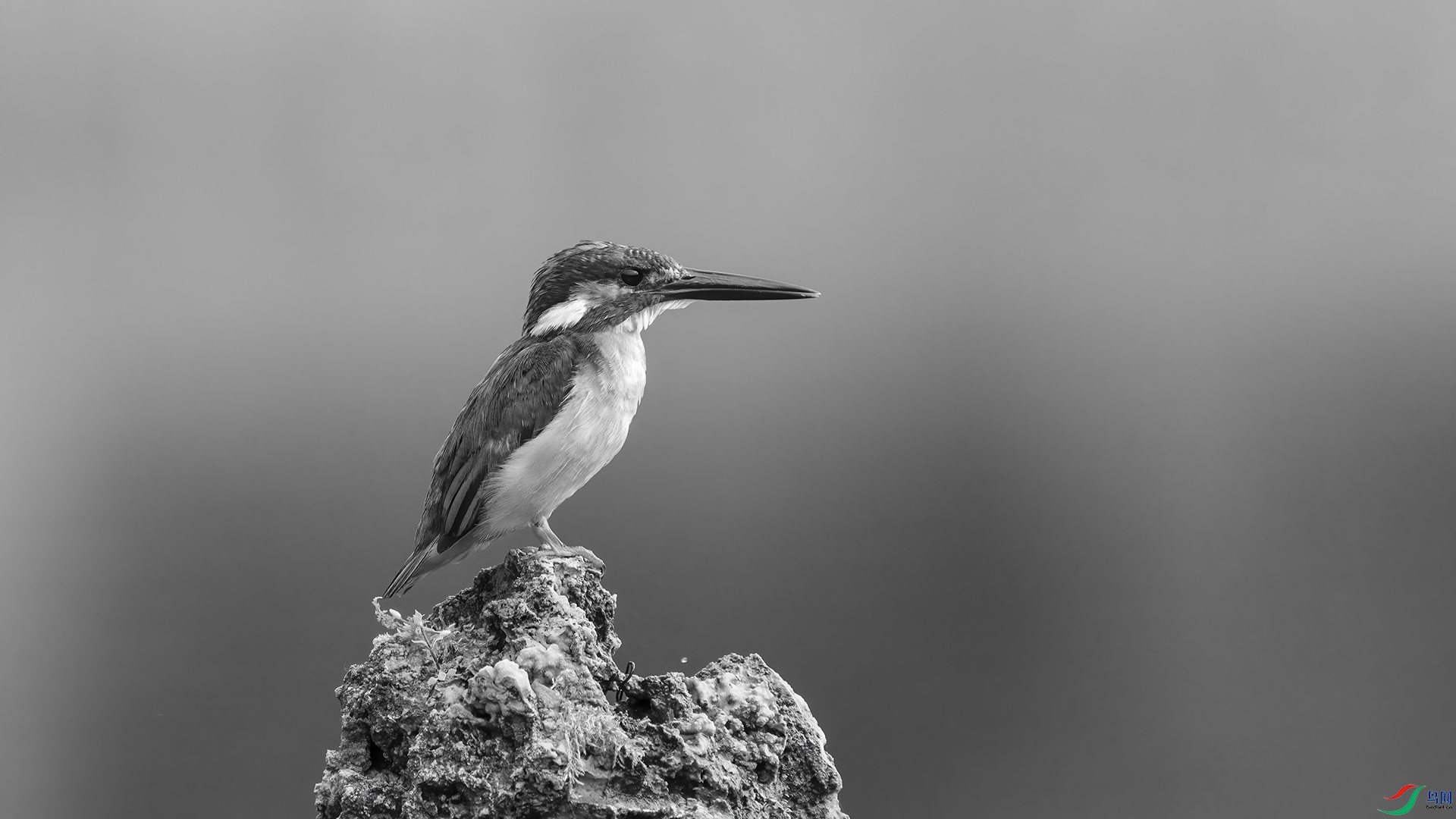 DSC06041 ����.jpg