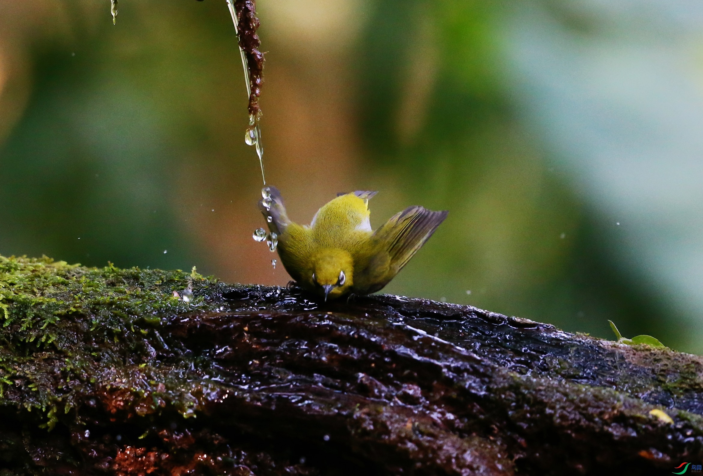 �Ҹ������� (19).JPG