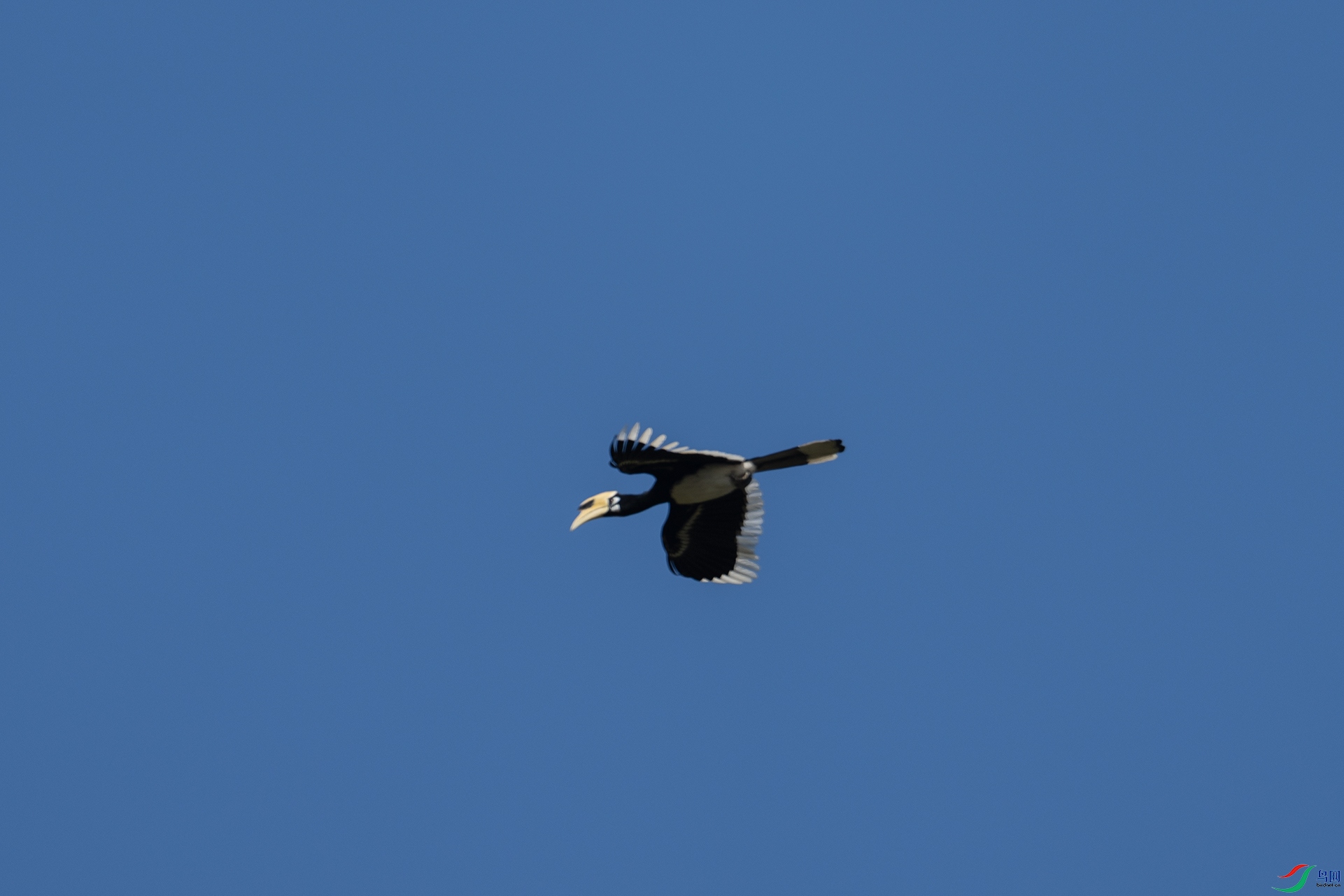 DSC00854.jpg