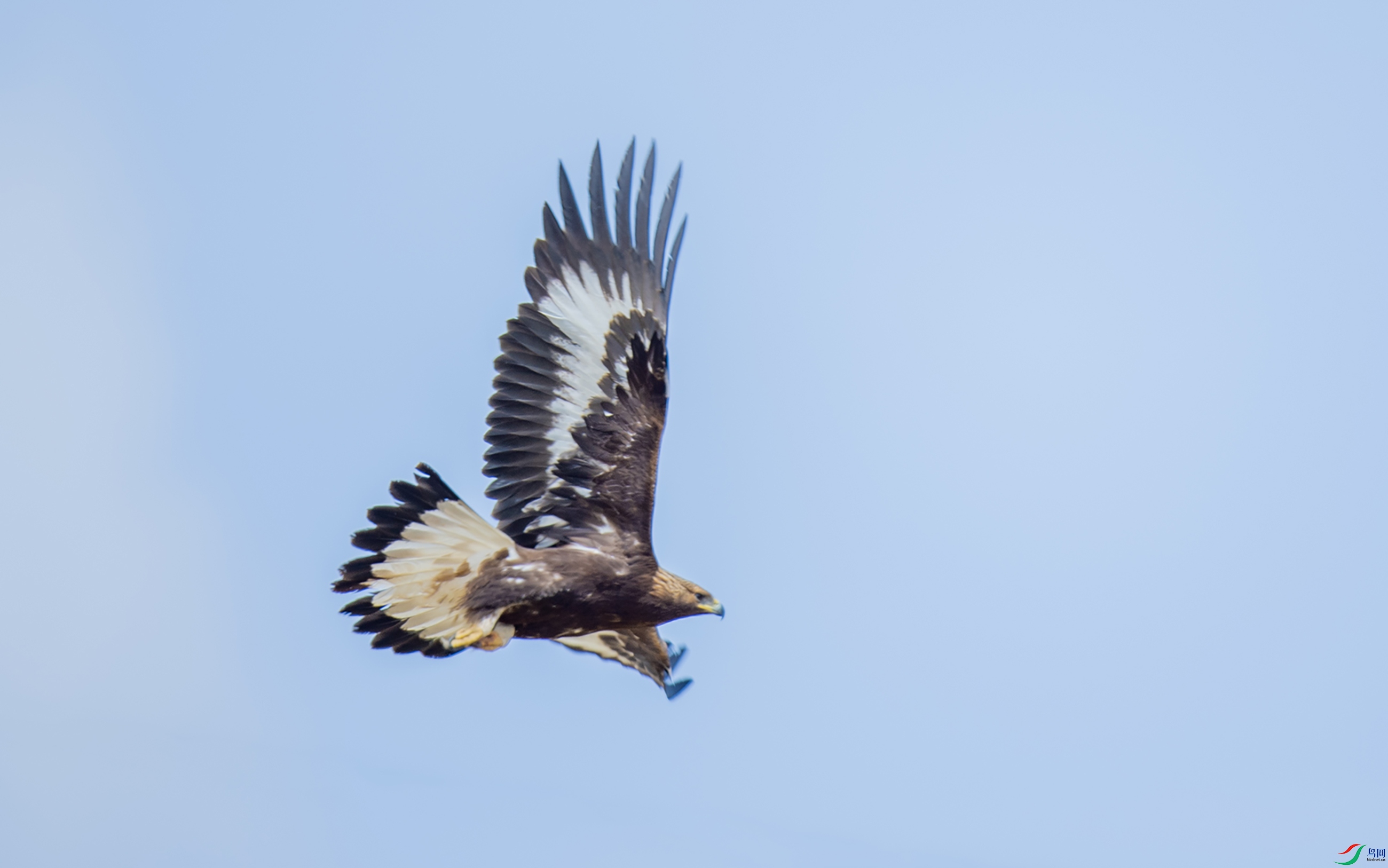 DSC_4288.jpg