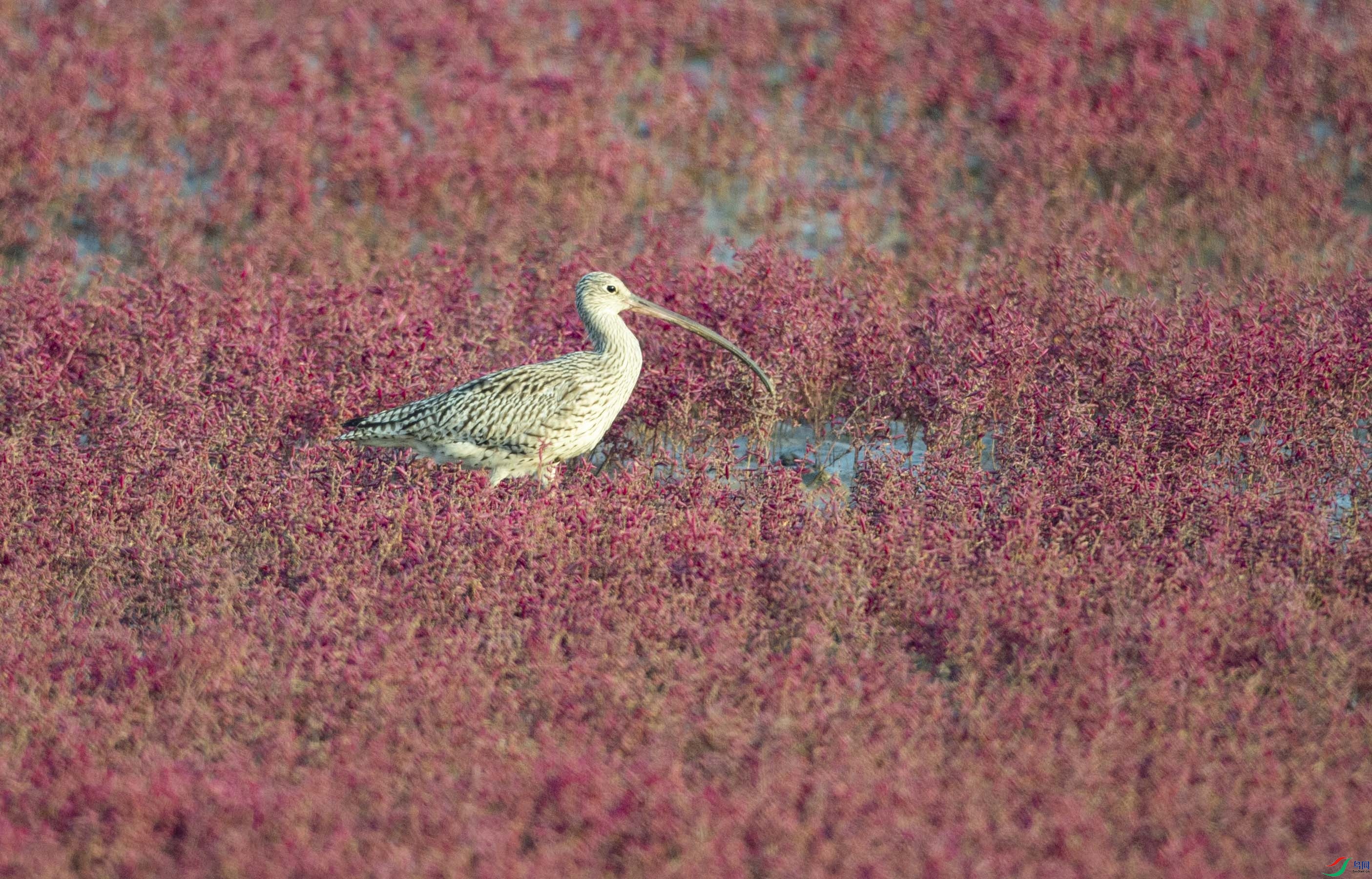 _DSC3538.jpg