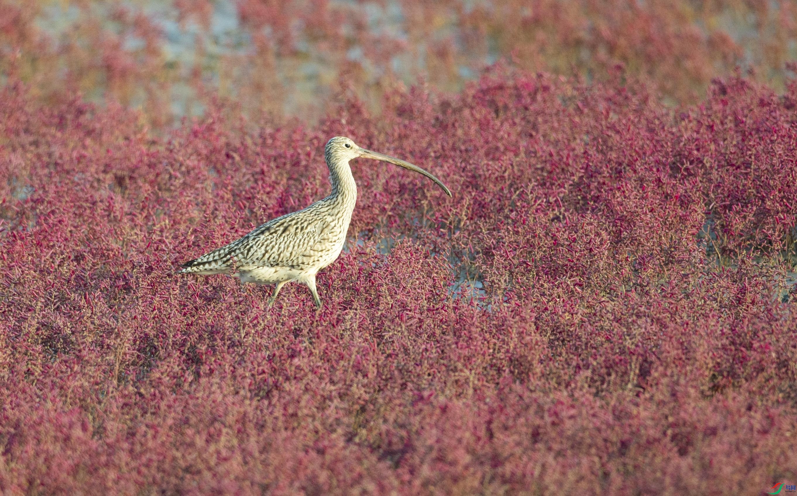 _DSC3546.jpg