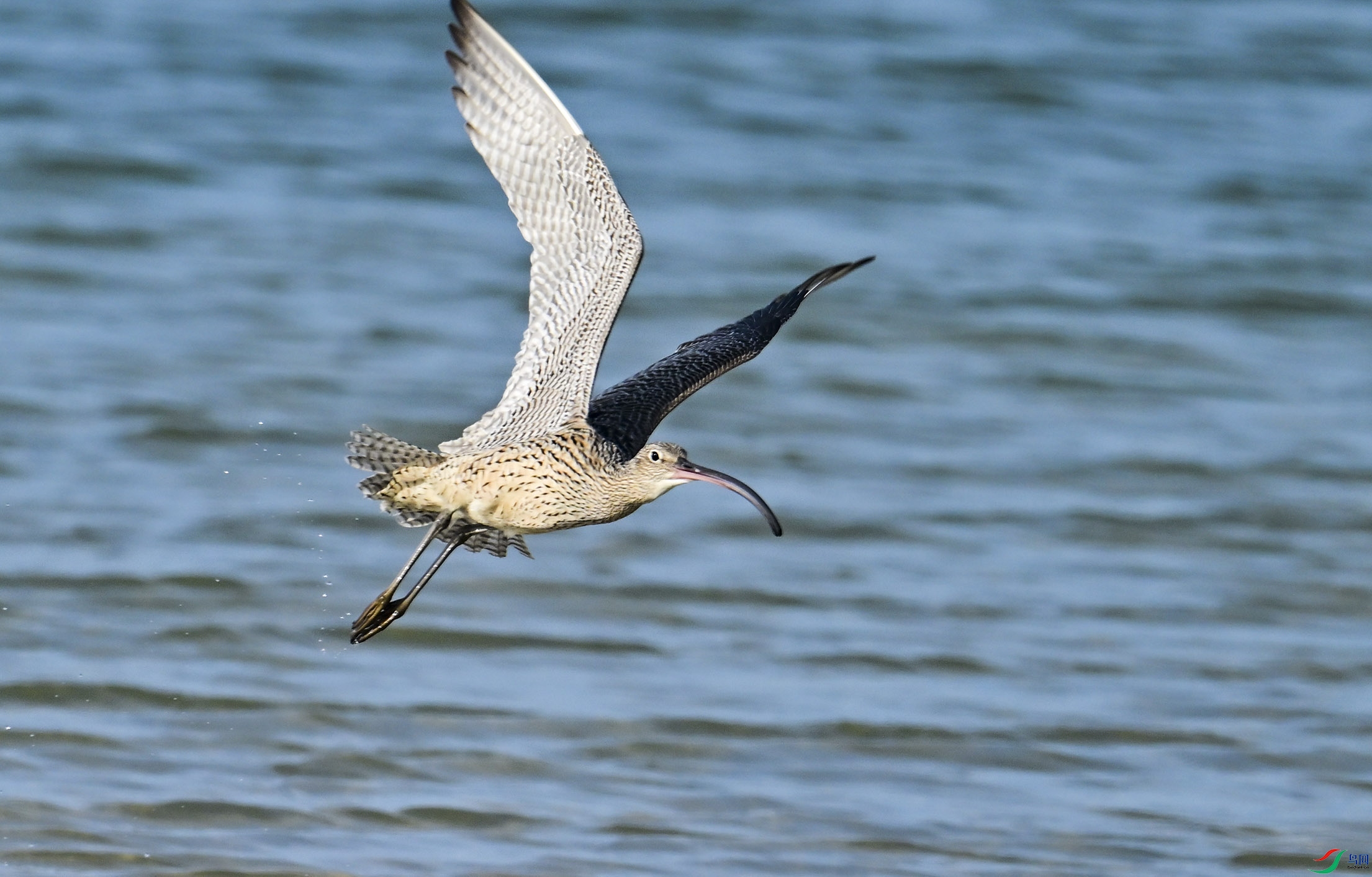 DSC_5412.jpg