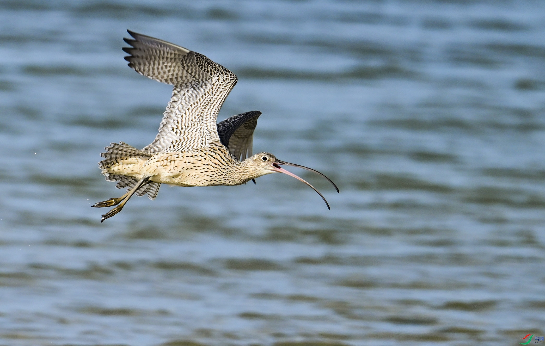 DSC_5415.jpg