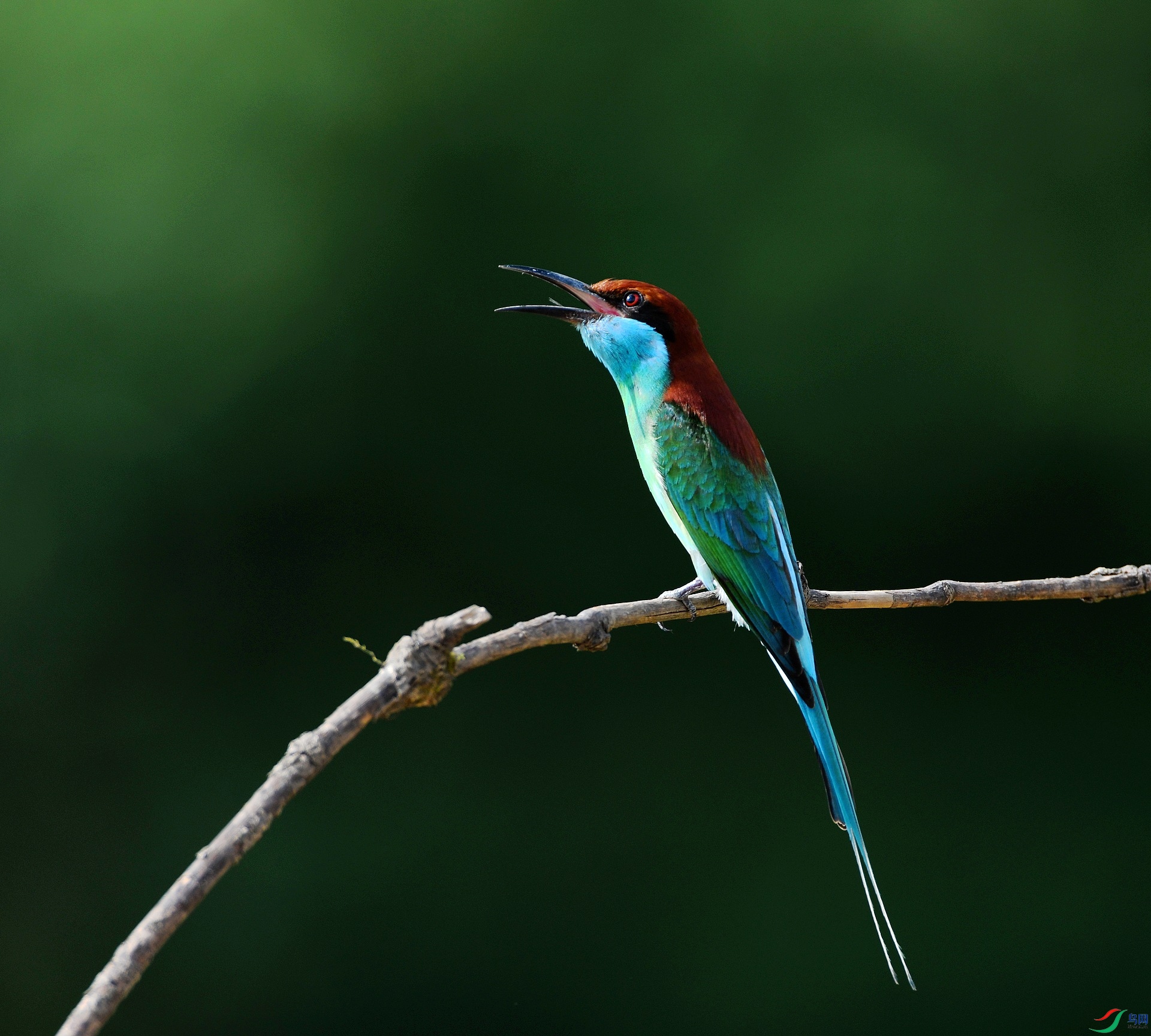 DSC_3186.jpg