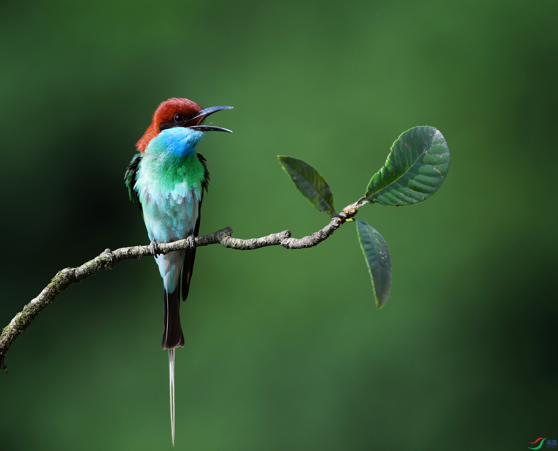 DSC_3287.jpg
