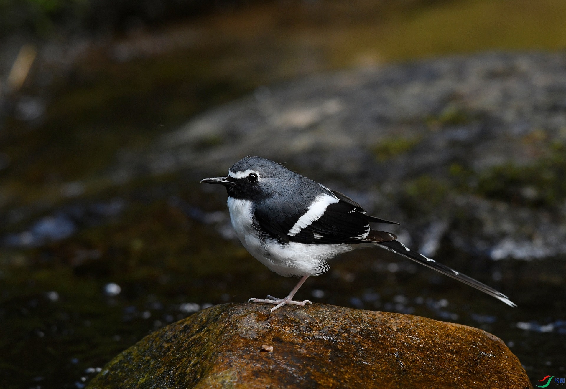 DSC_4843.jpg