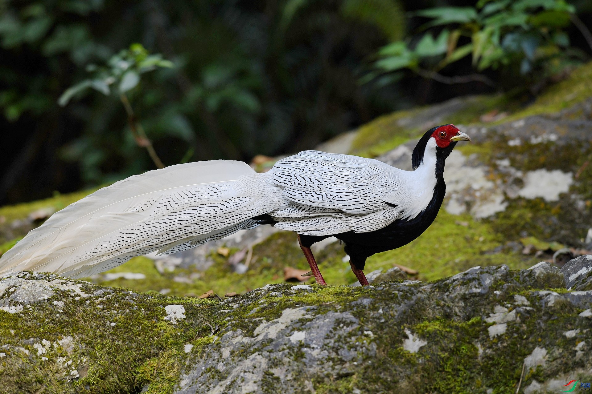 DSC_4786.jpg