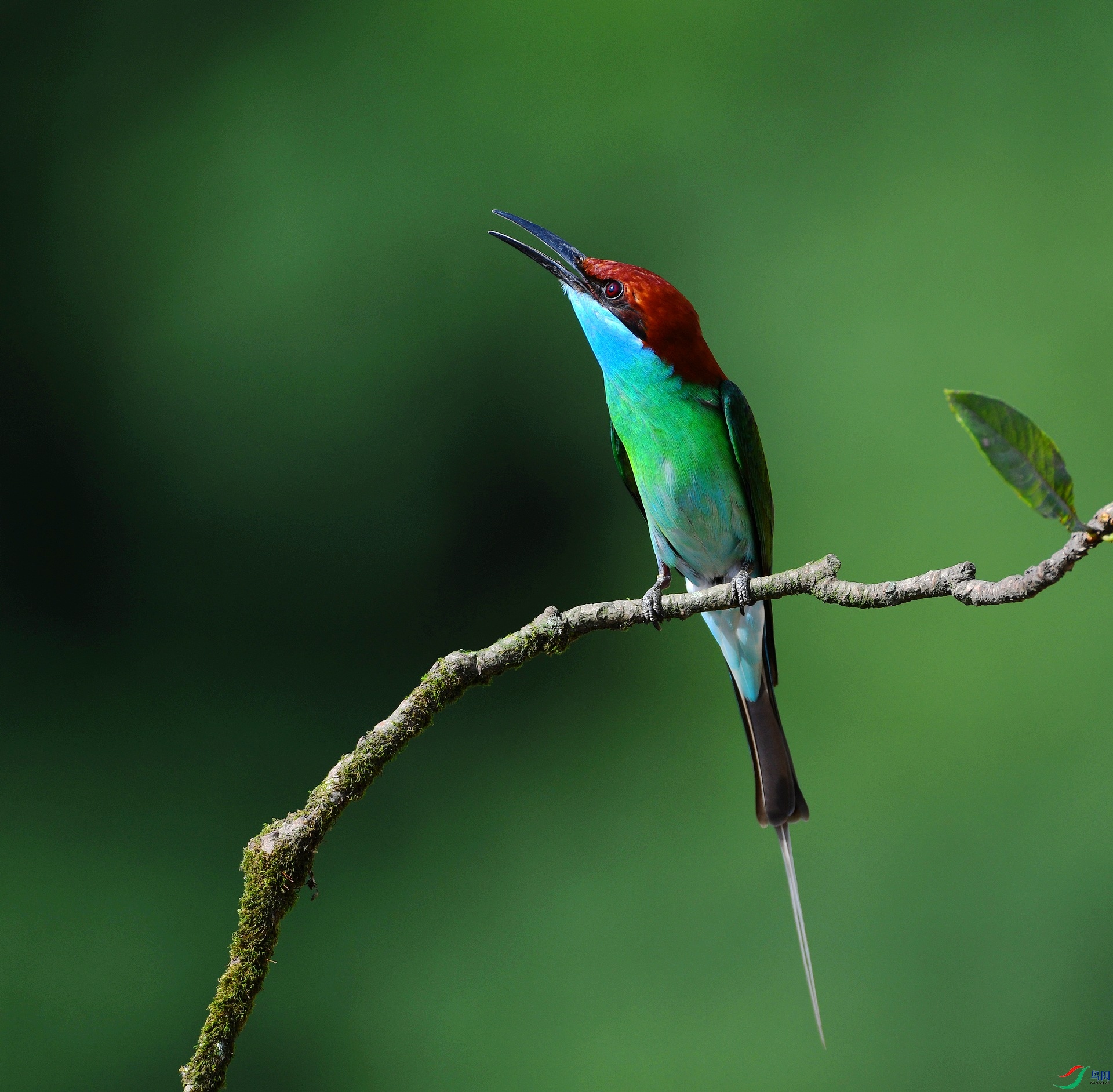 DSC_3162.jpg