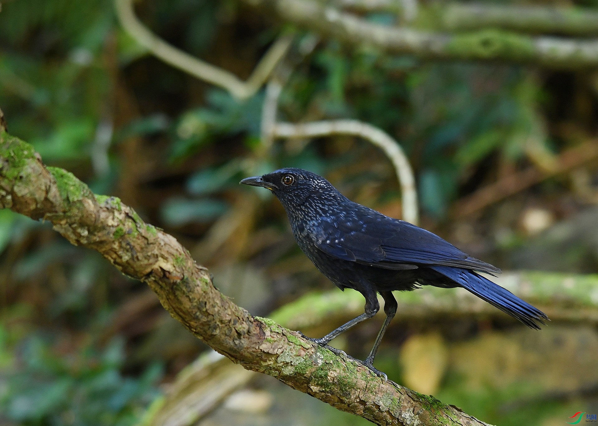 DSC_4878.jpg