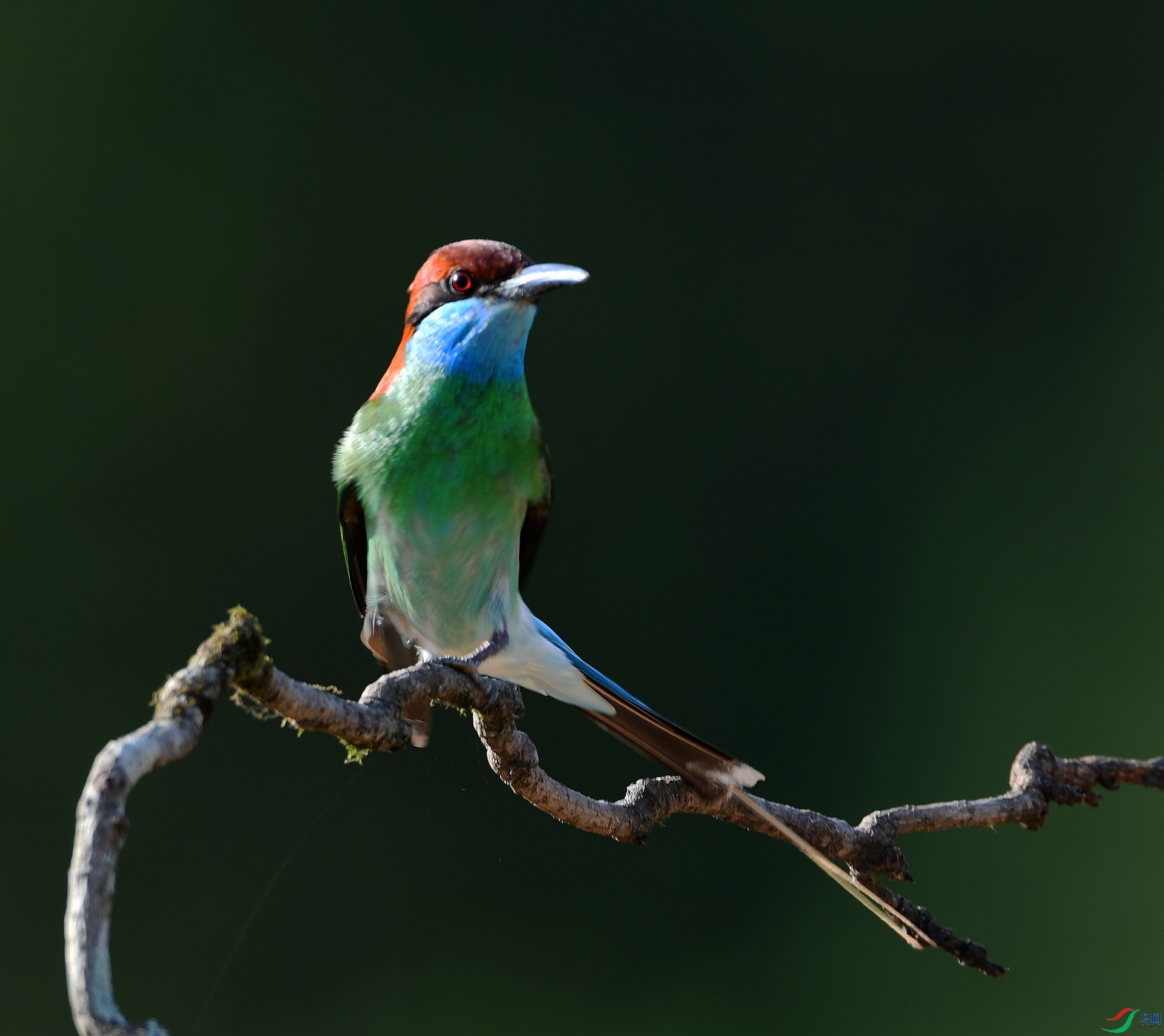 DSC_3681.jpg