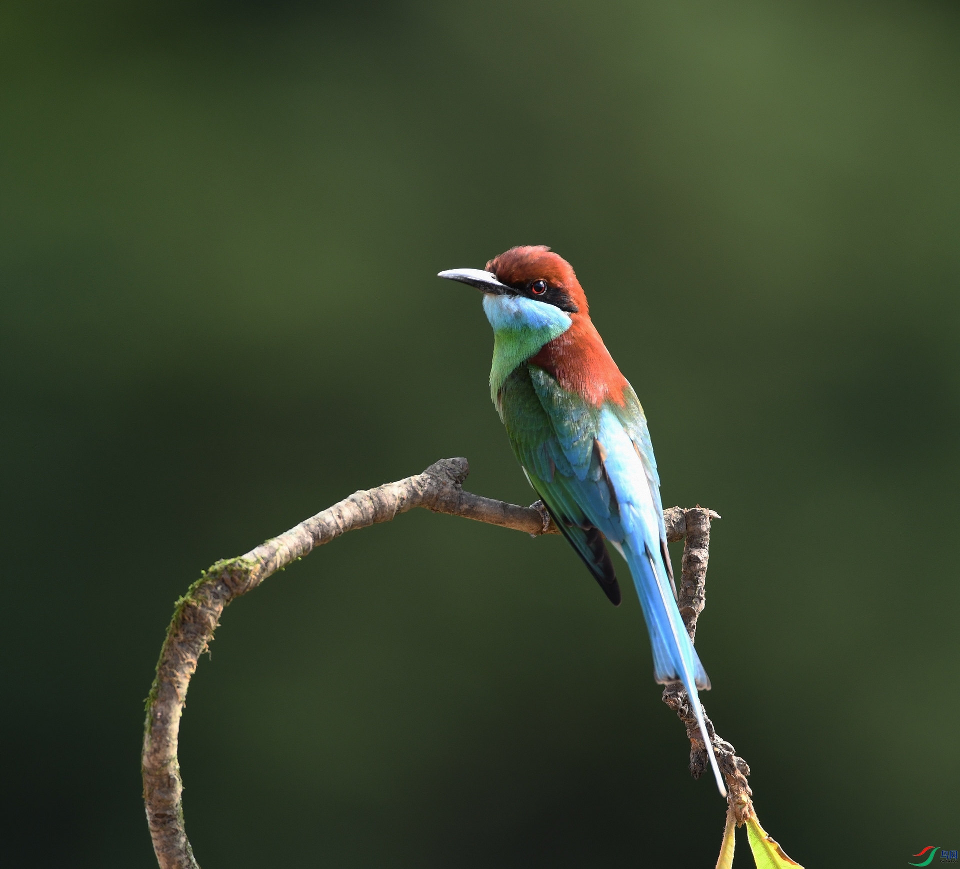 DSC_4896.jpg
