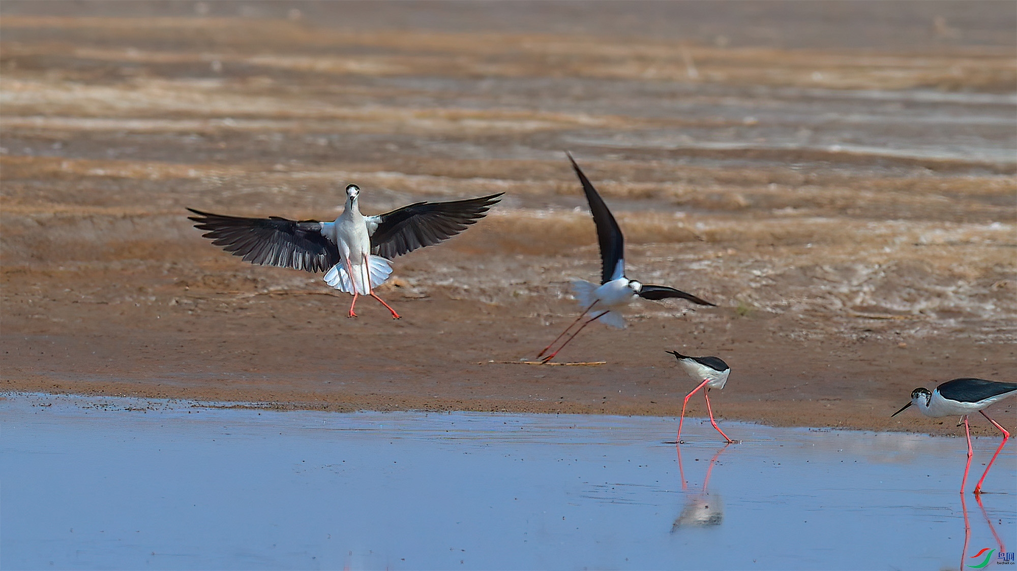 6��22�� (1)(3).jpg