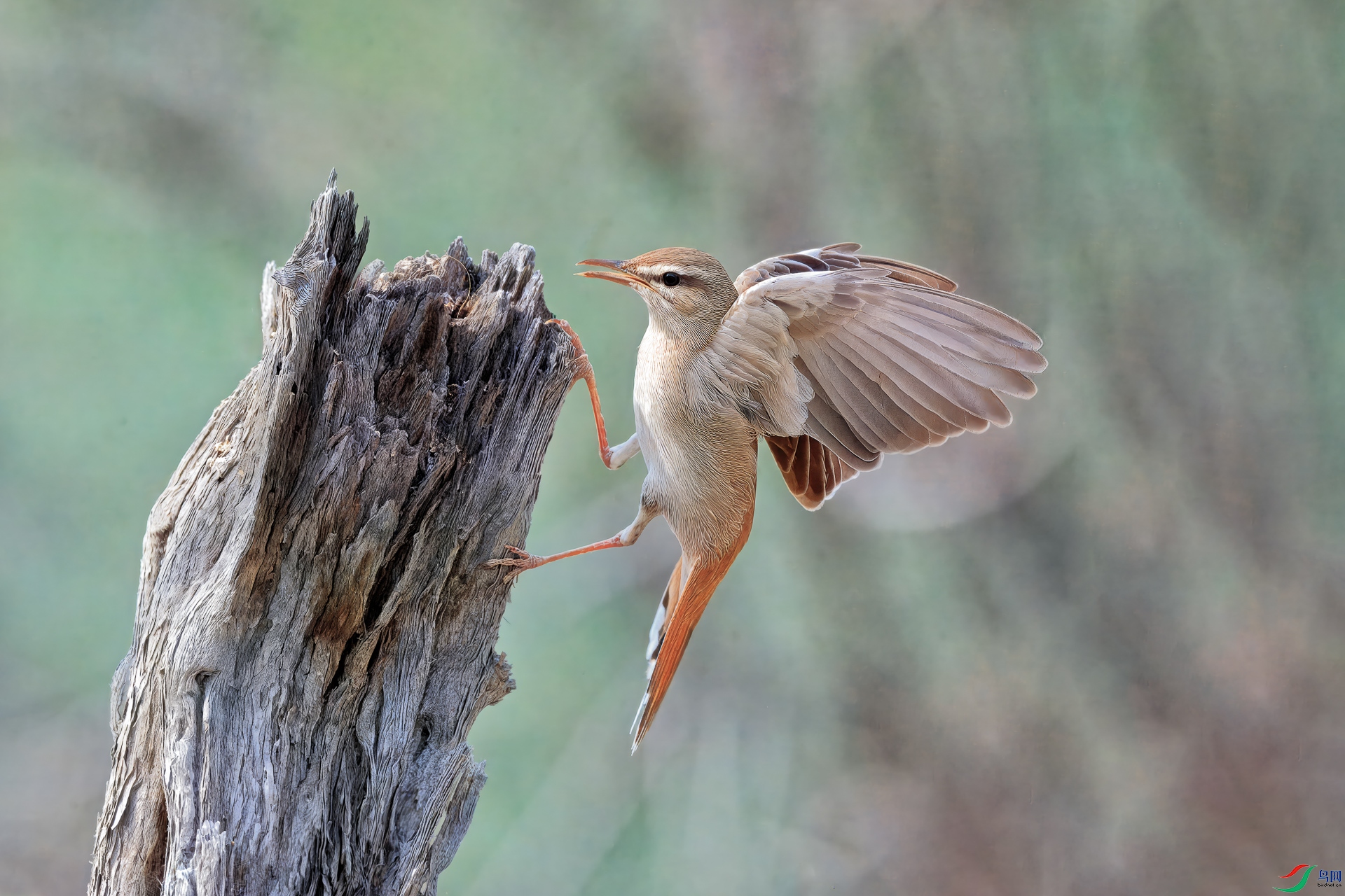 _60I5464----3-crop-169.jpg