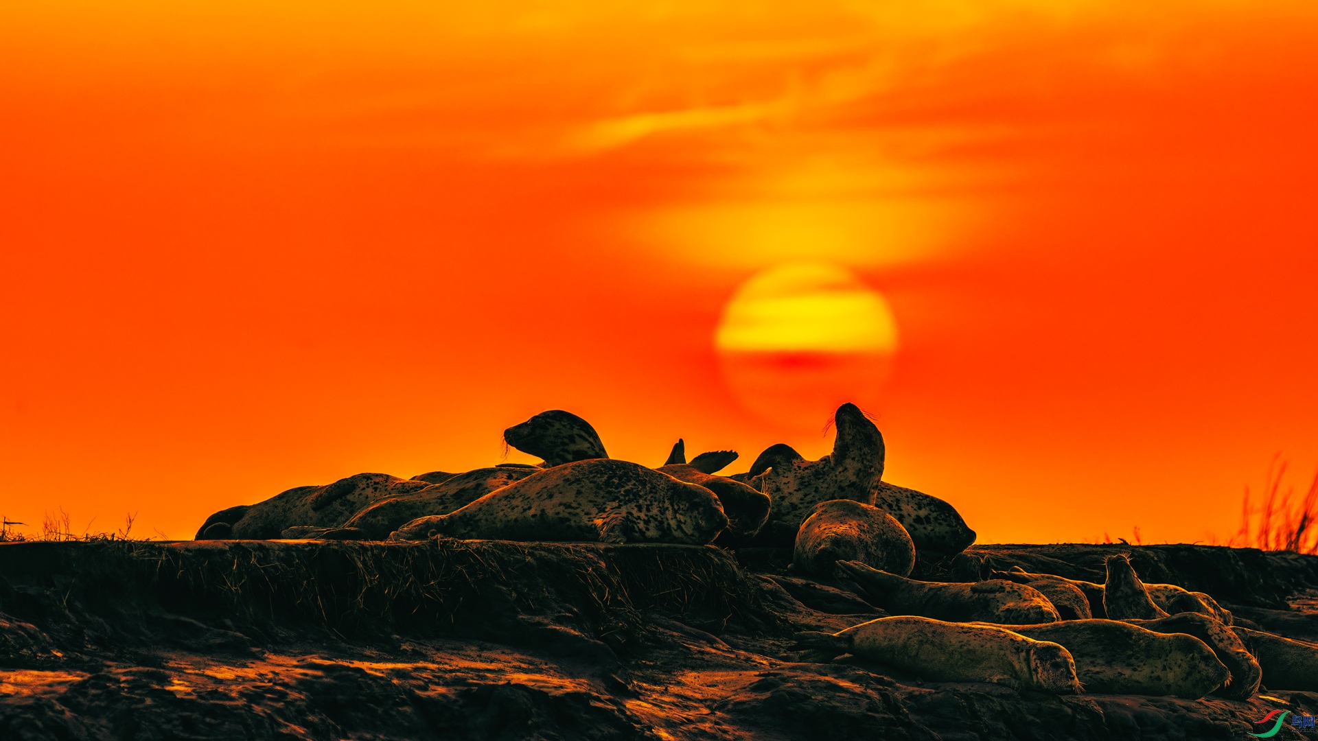 _X7A0484-.jpg