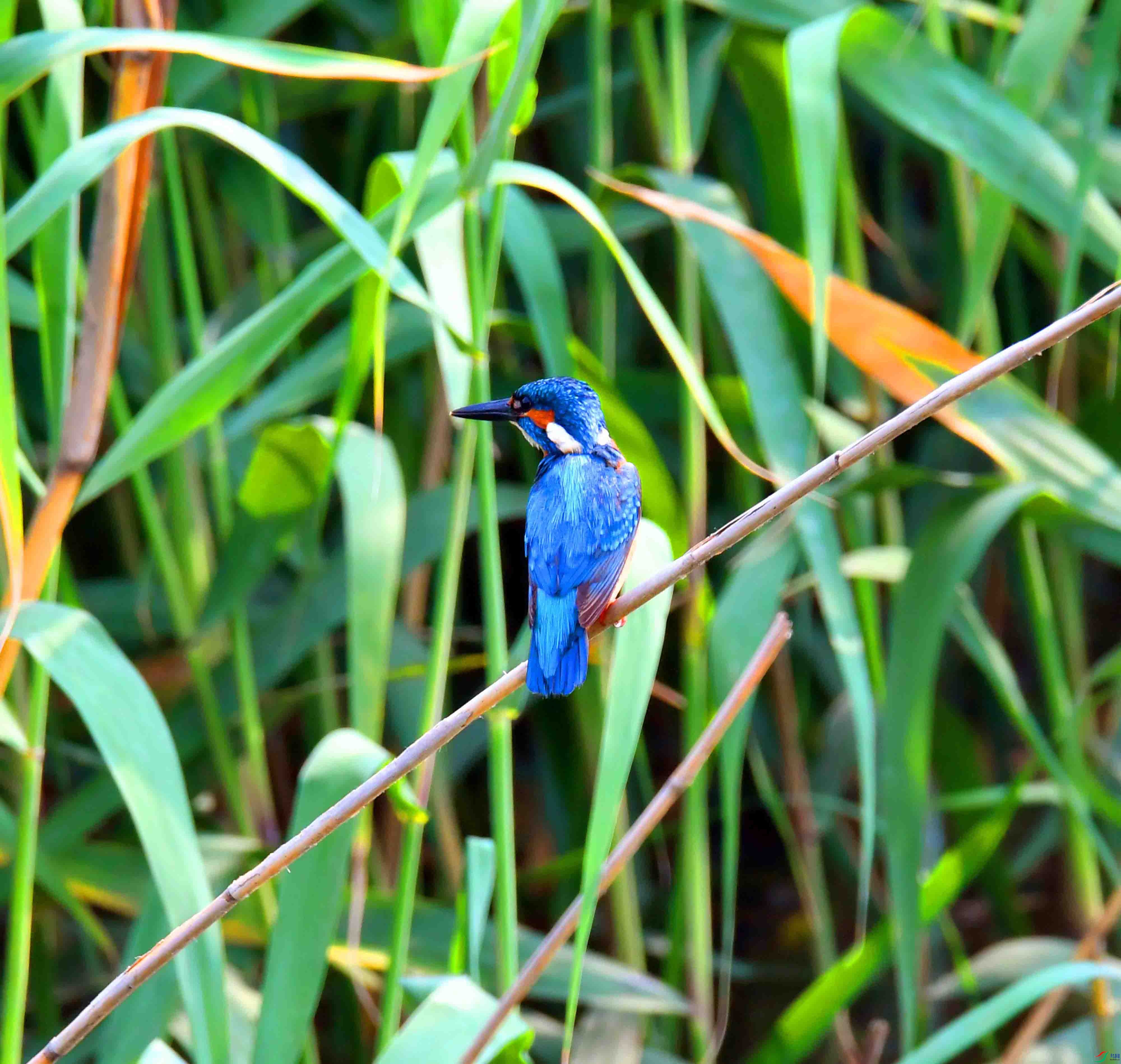 DSC_0181.JPG