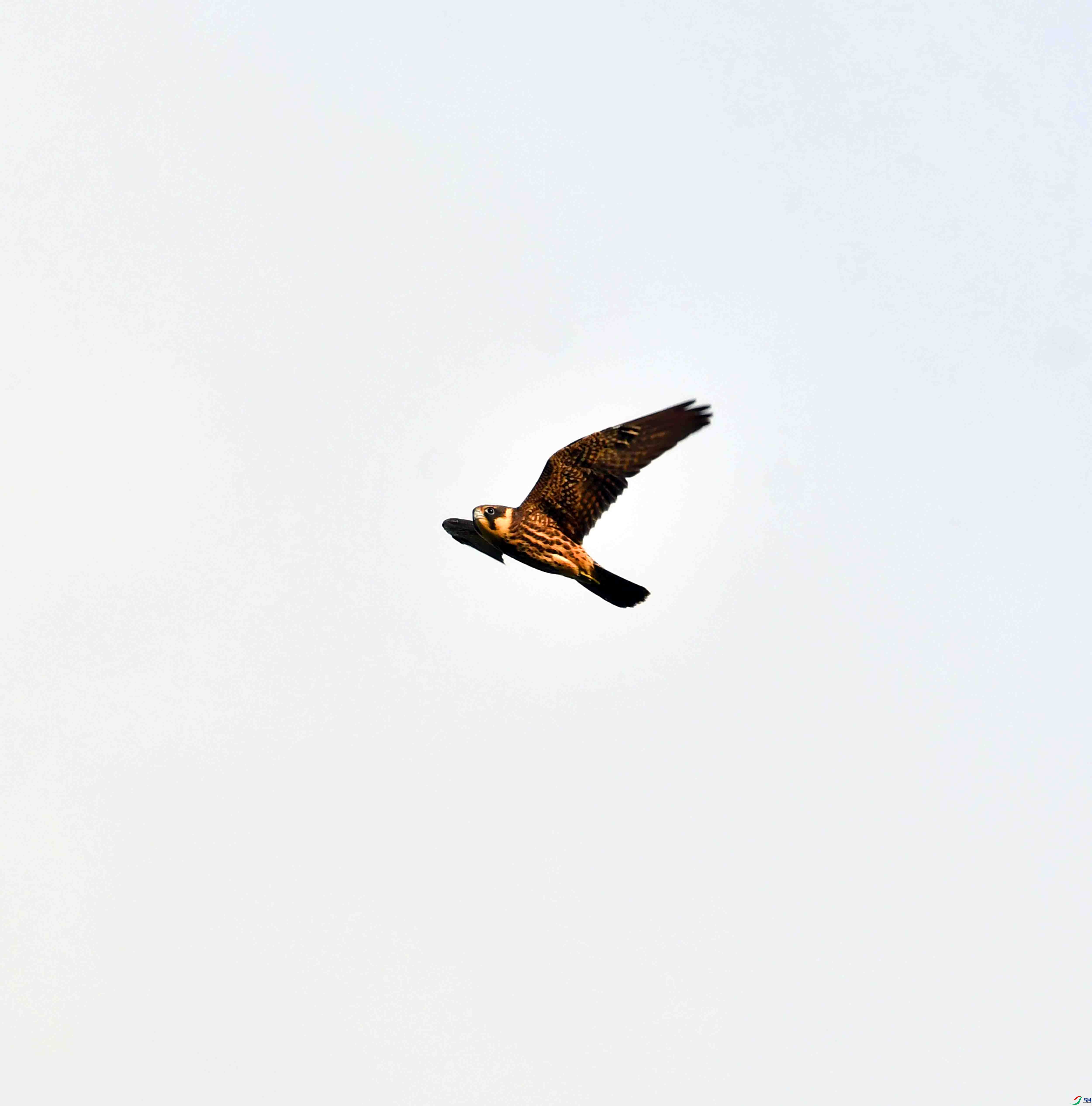 DSC_5075.JPG