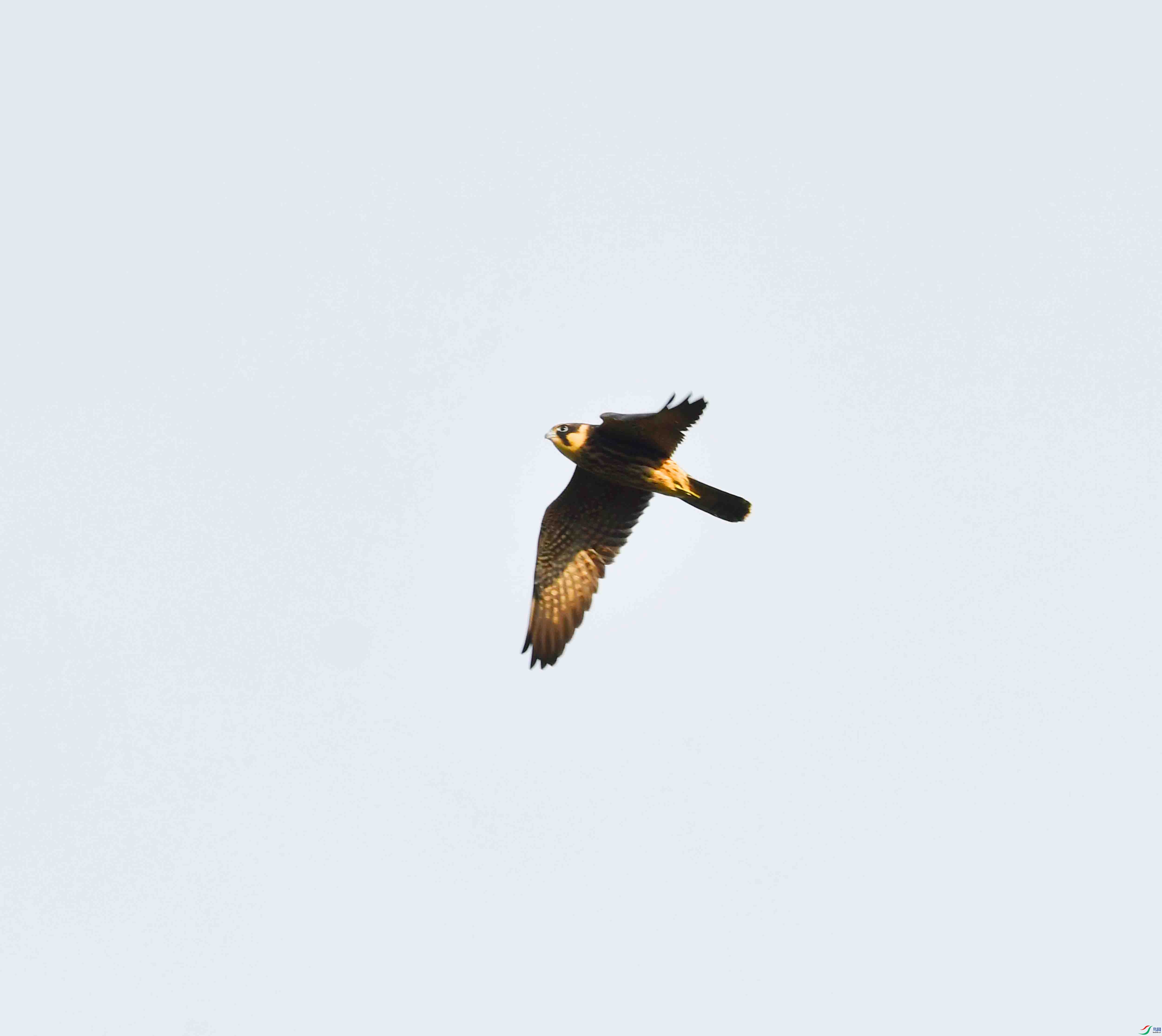 DSC_5078.JPG