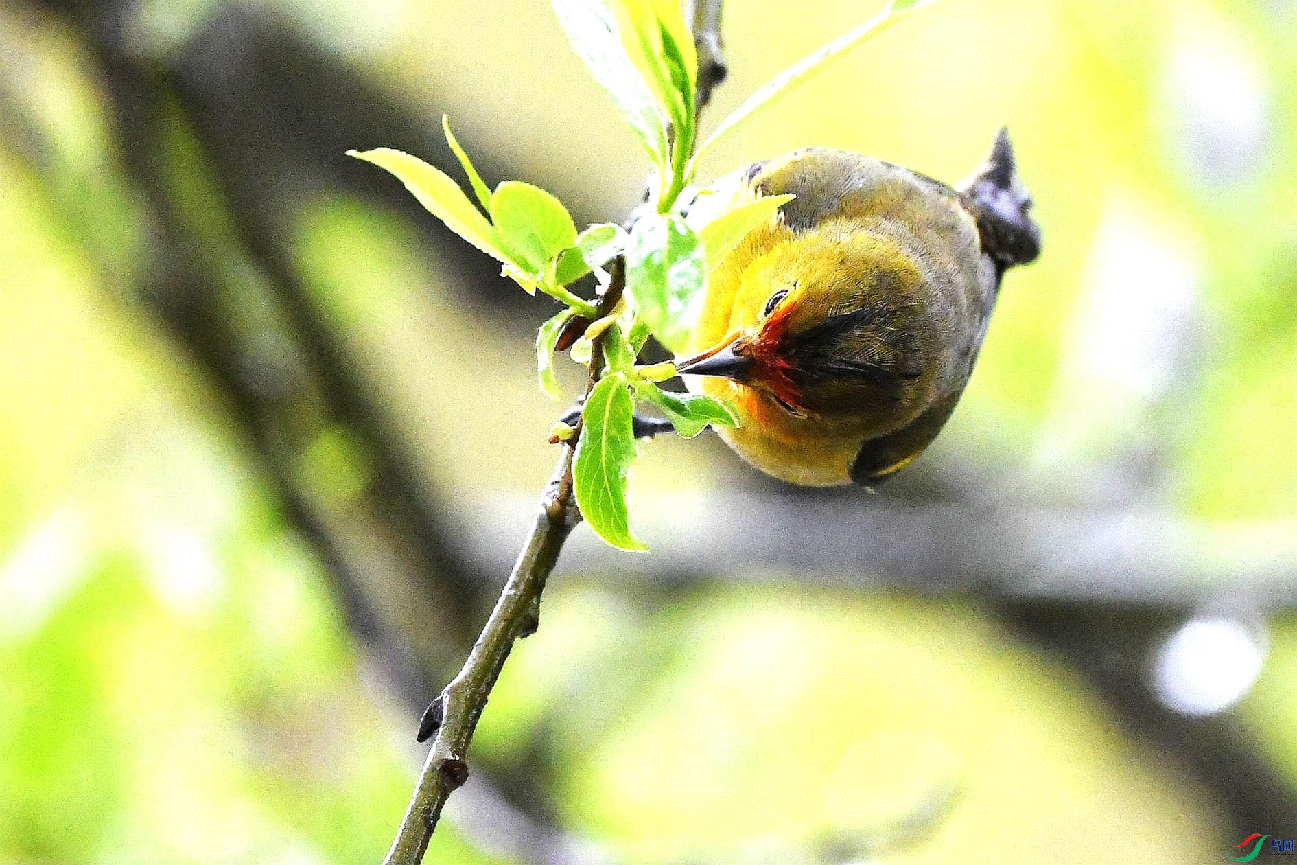 DSC_5570_����.jpg