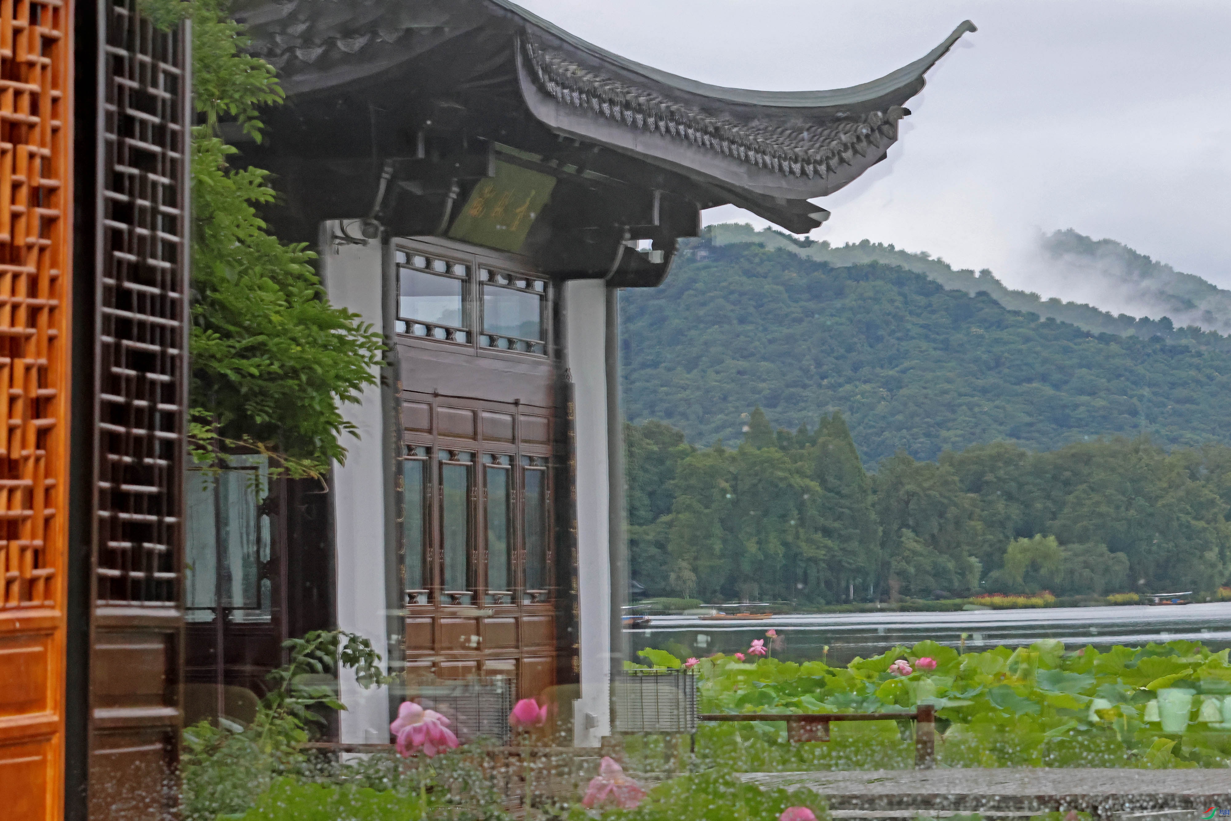 2G9A4969.JPG