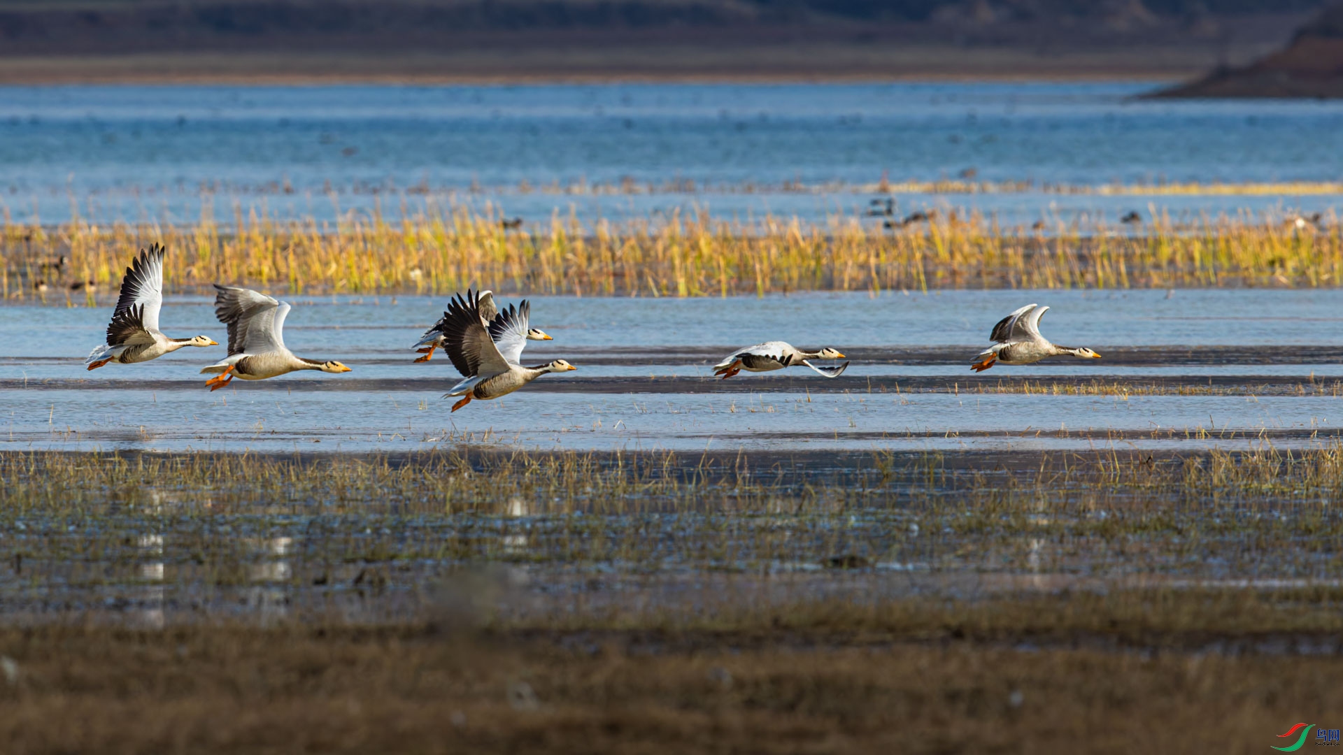 AR2I7403-CR2_DxO_DeepPRIMEXD-1.jpg