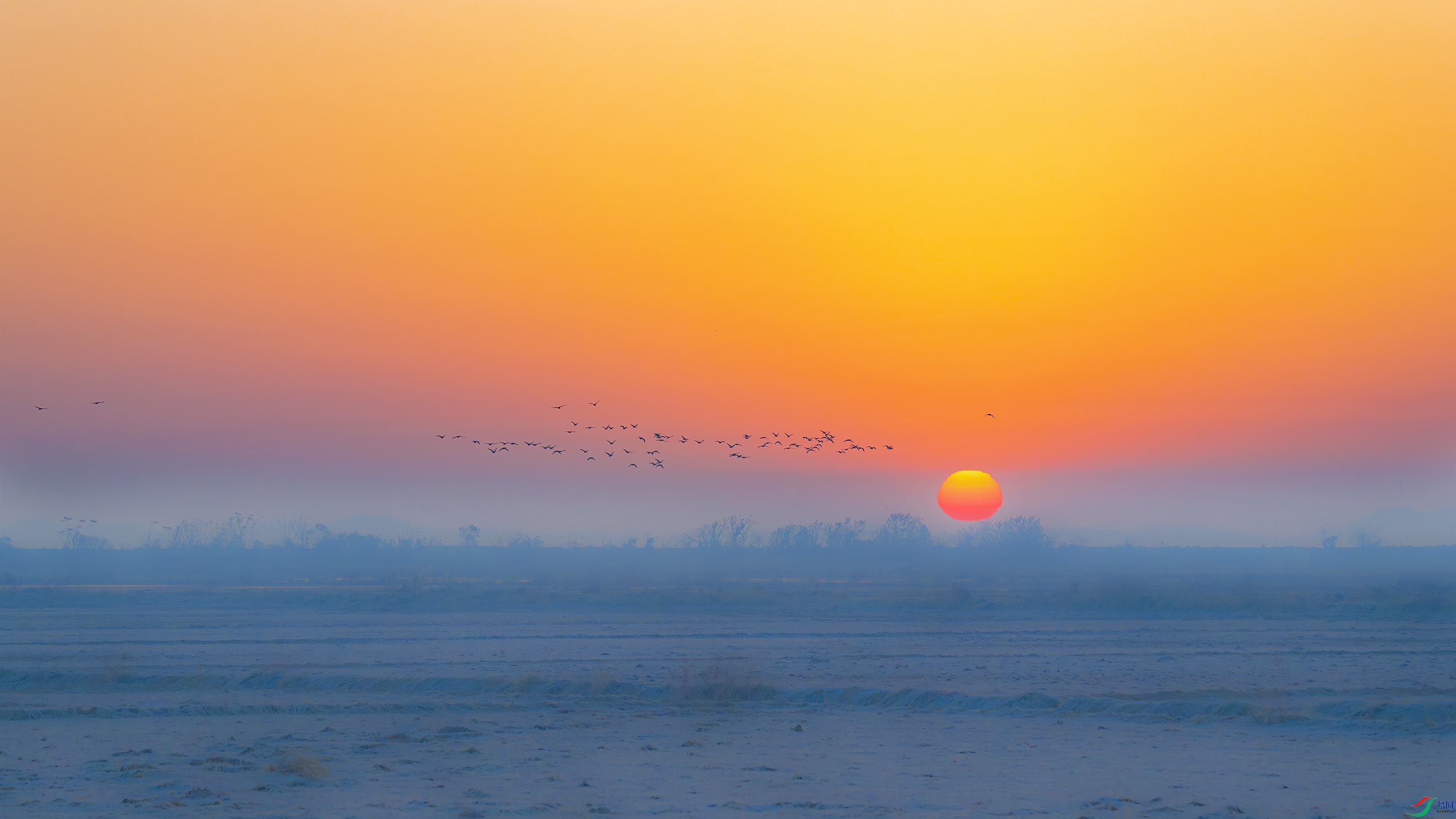 DSC_5869_DxO.jpg