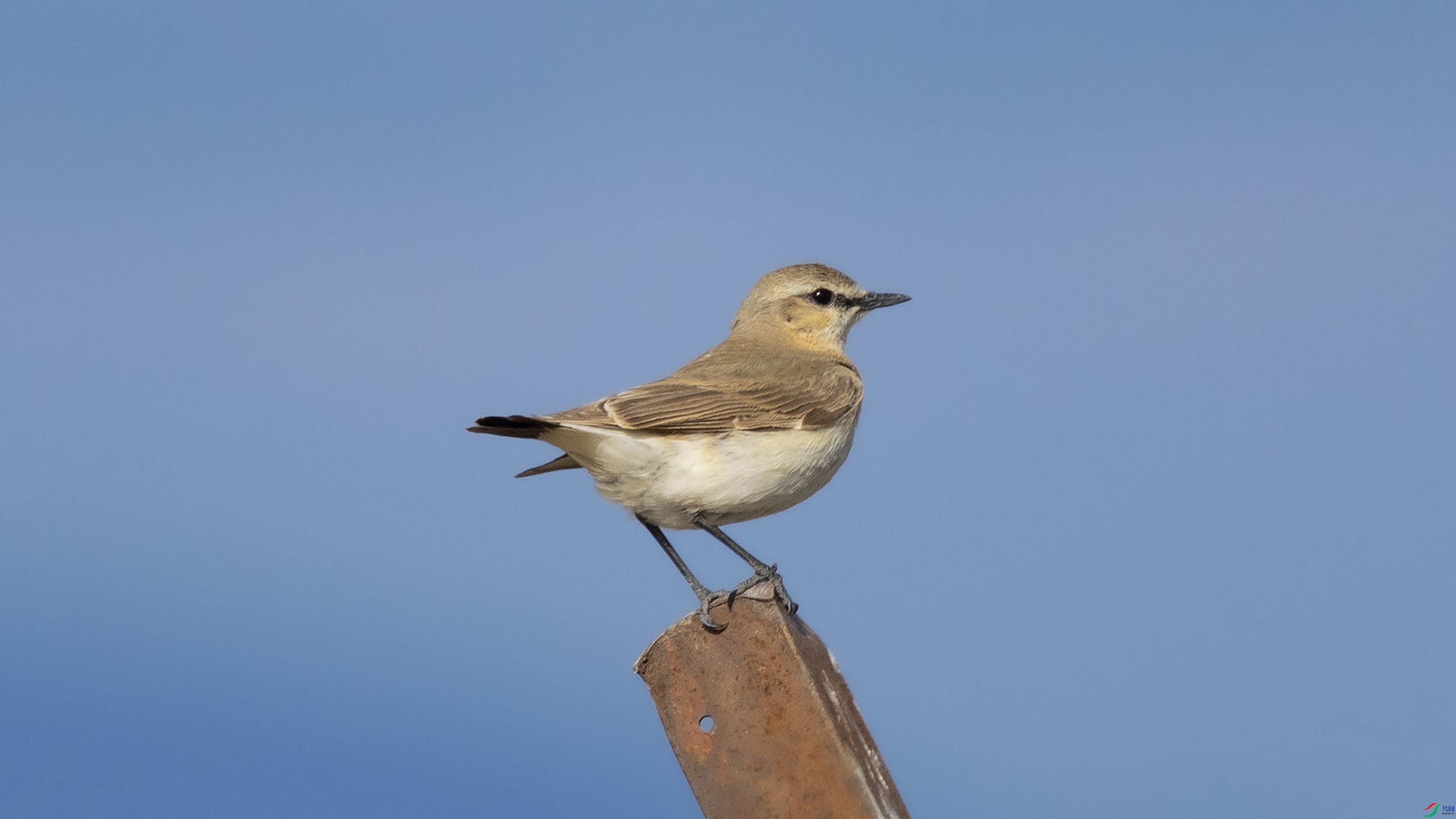 7X5A9992 ��4444444.jpg