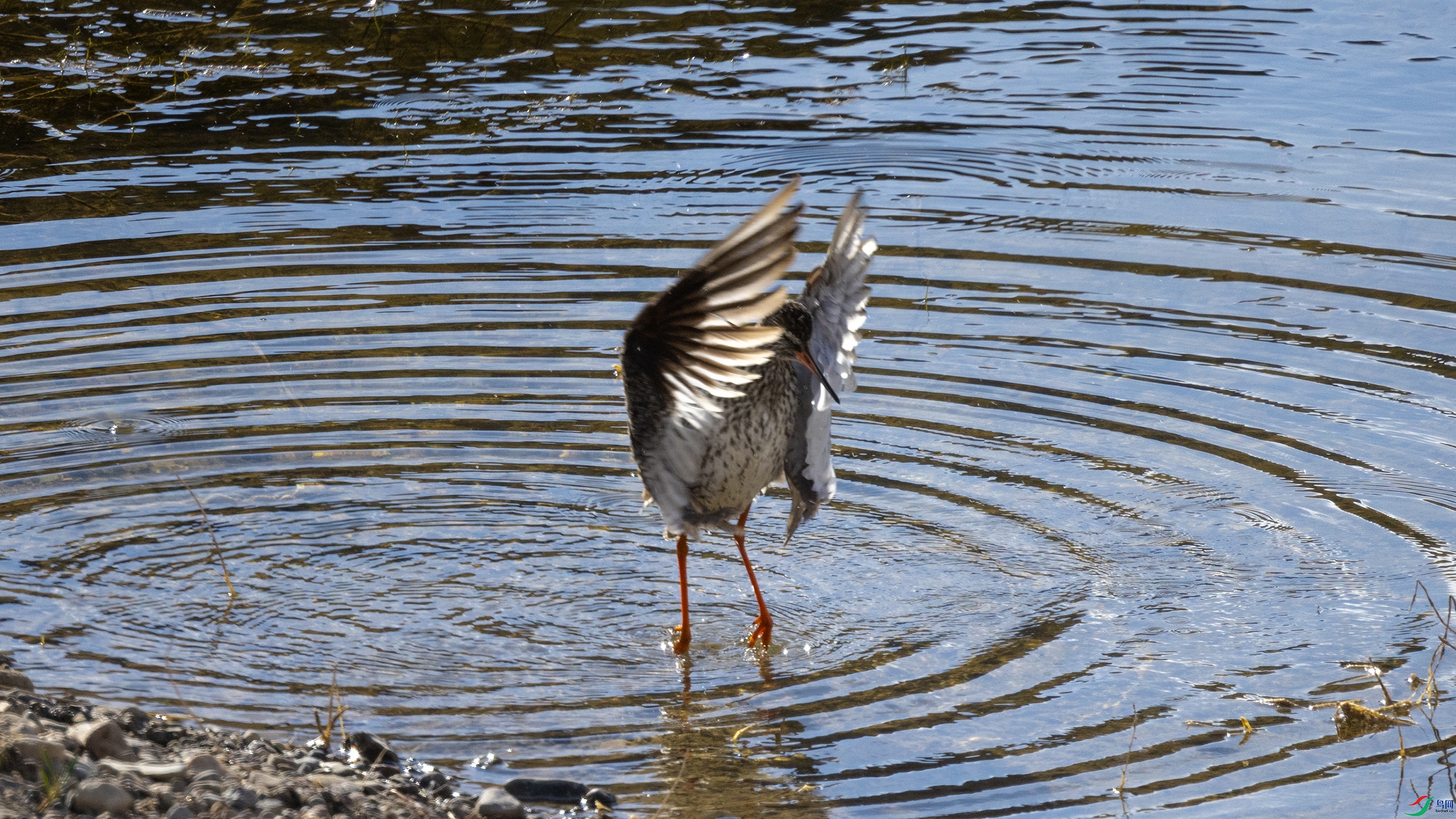 7X5A0158 ����44444.jpg