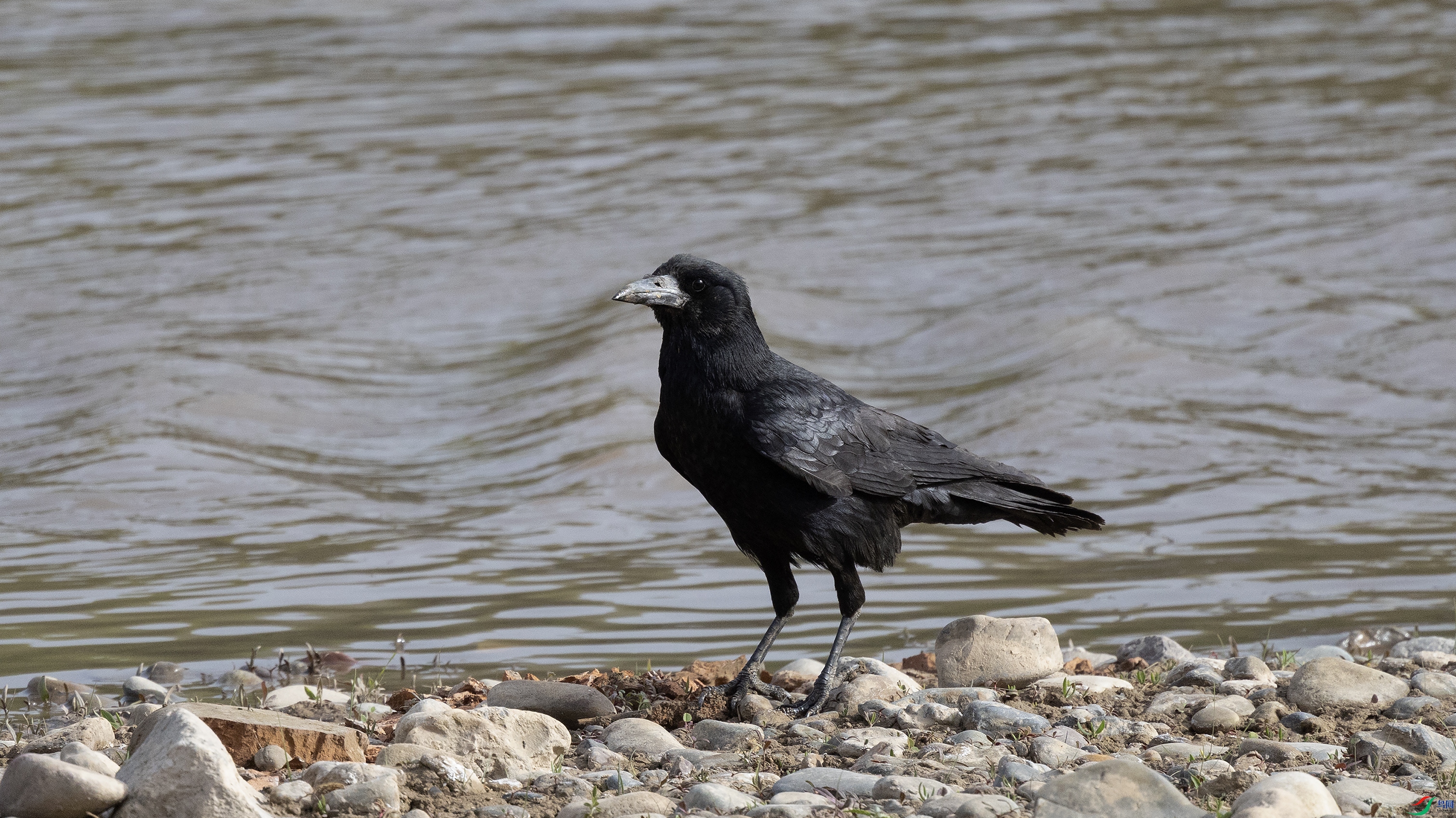 7X5A6907 ����44444444.jpg