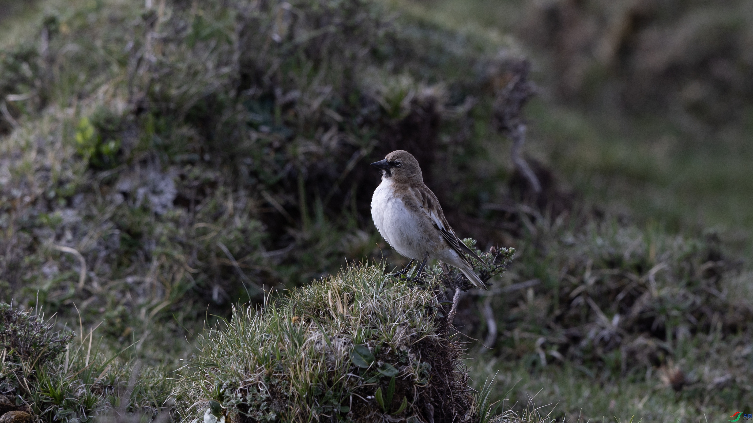 _O7A1005 ����444444.jpg