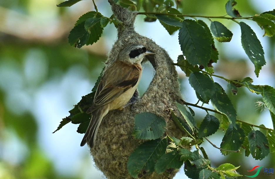 �㽡�