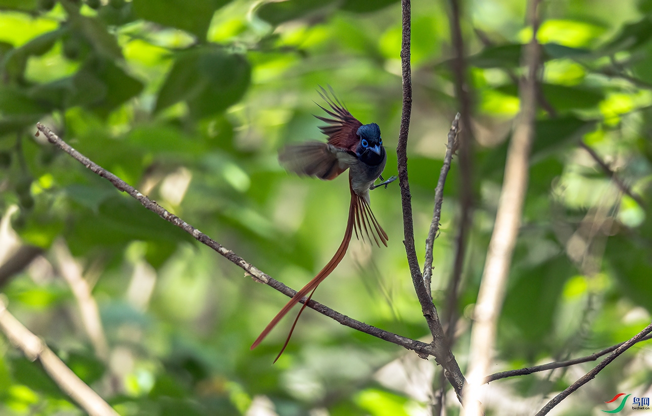 _C2A5689 ����.jpg