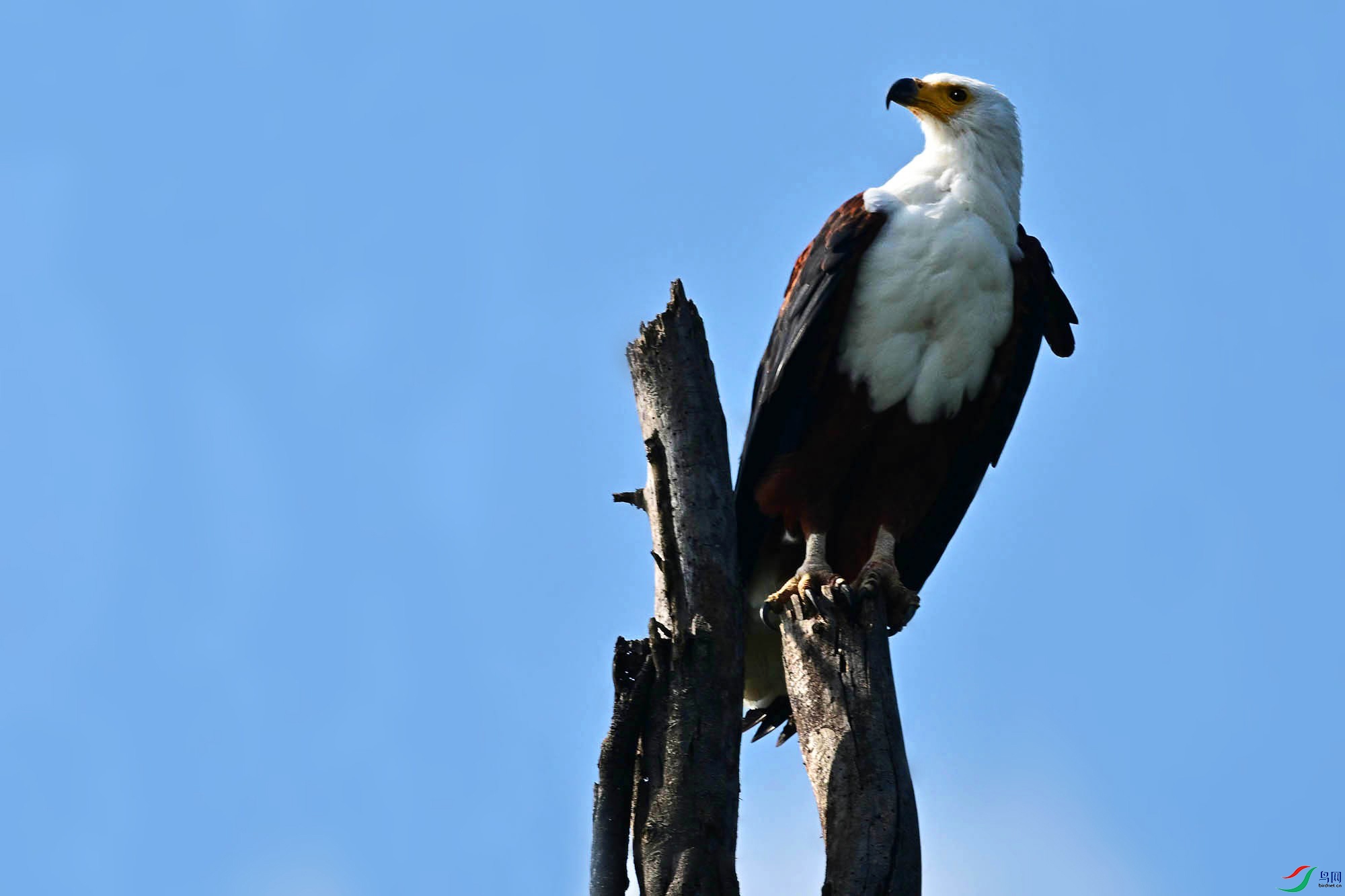 DSC_4673_.jpg