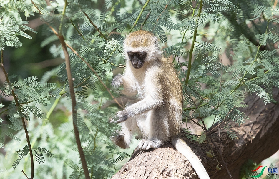 ���޺����� (7).jpg