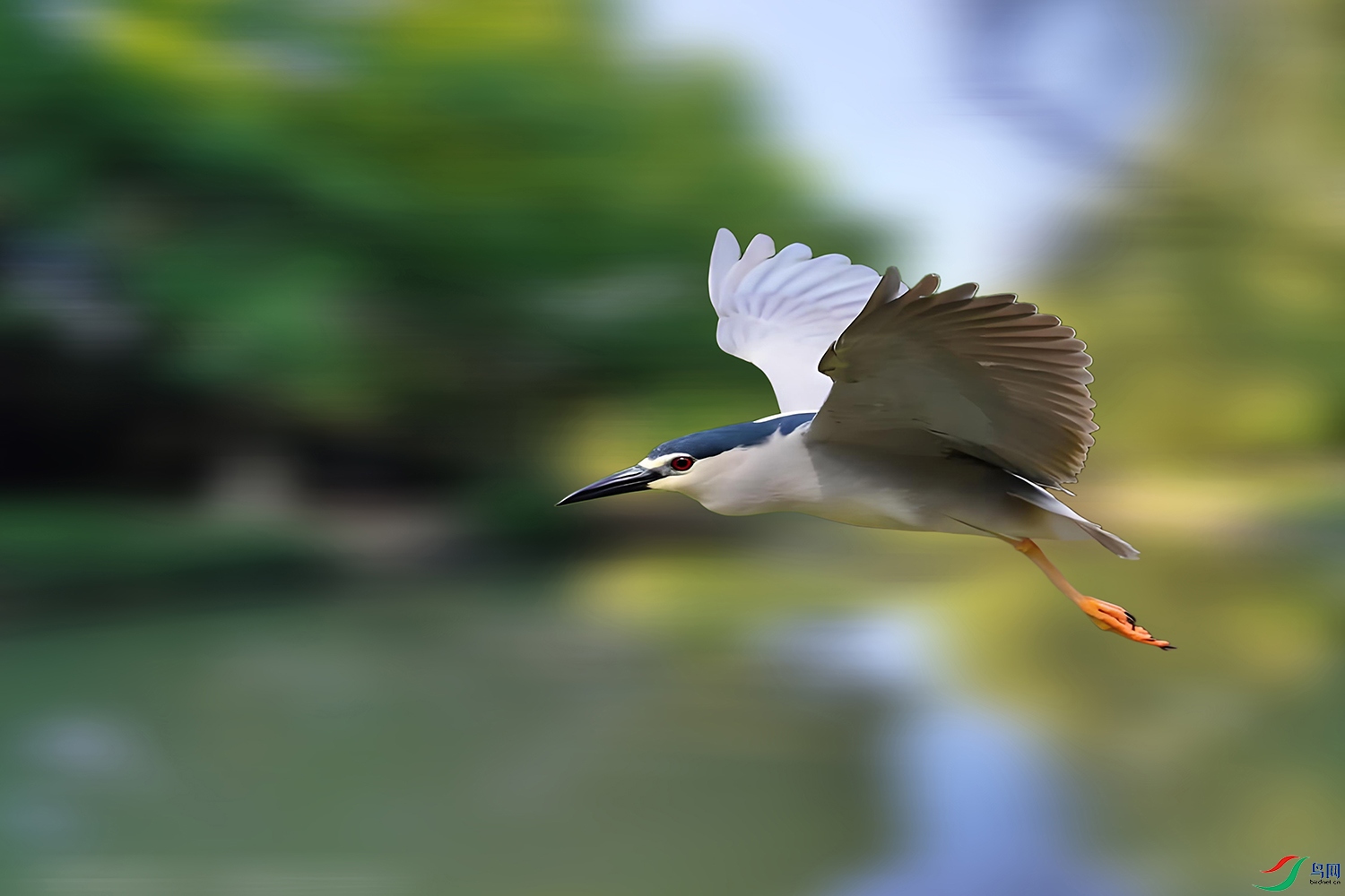 IMG_2377��ѹ����.jpg