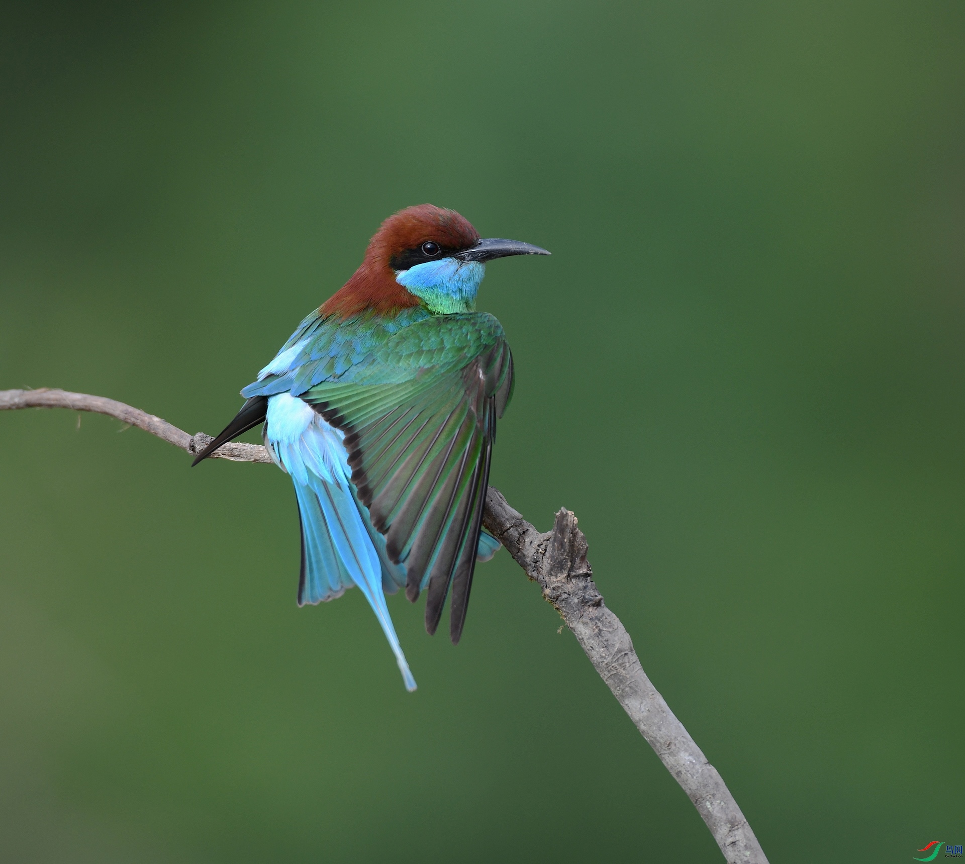DSC_5149.jpg