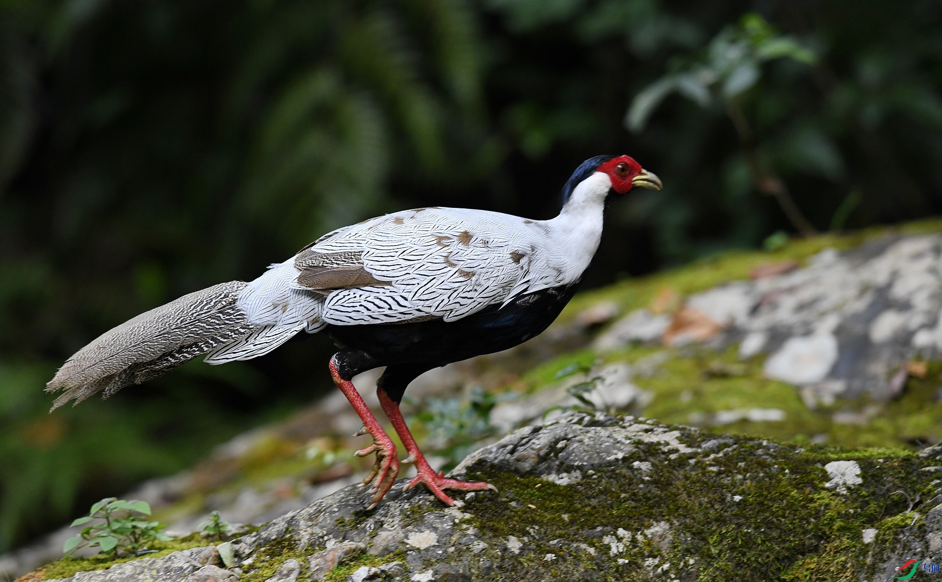 DSC_5612.jpg