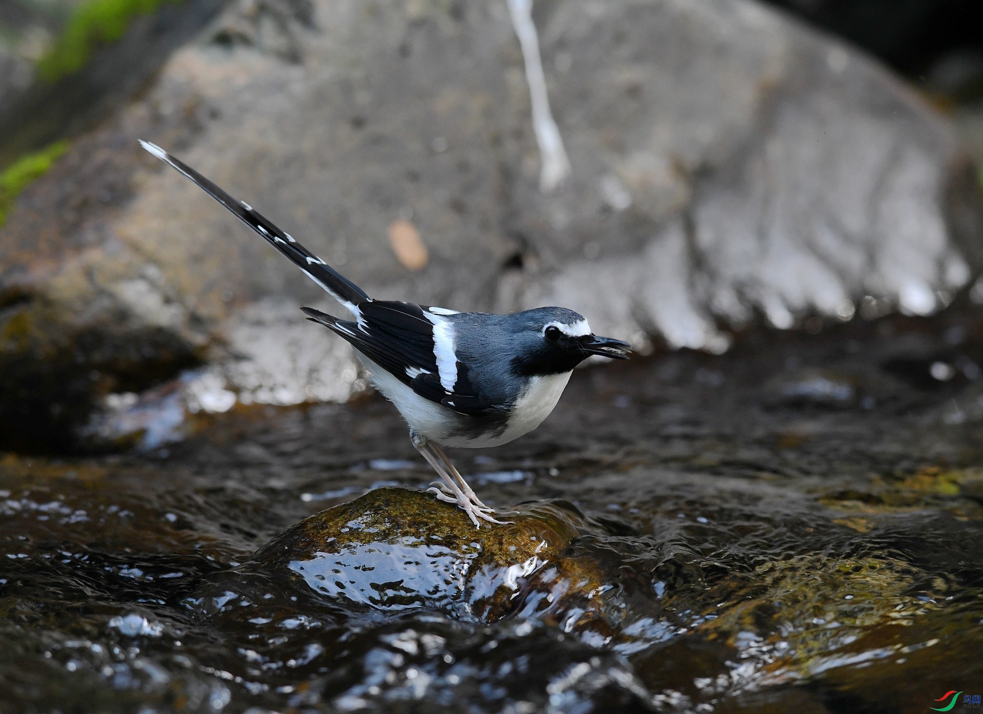 DSC_5161.jpg